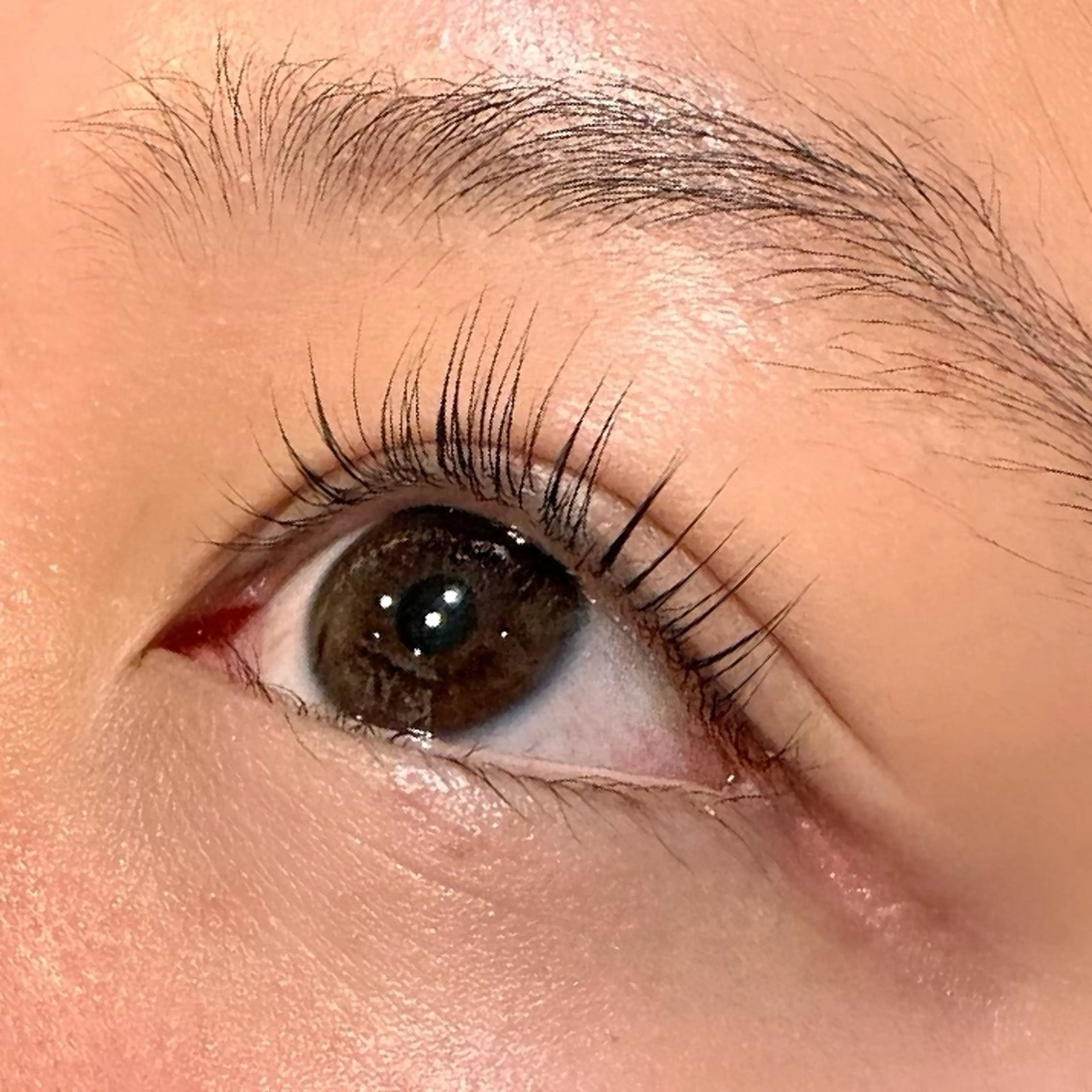 再来パリジェンヌラッシュリフト🎀の写真