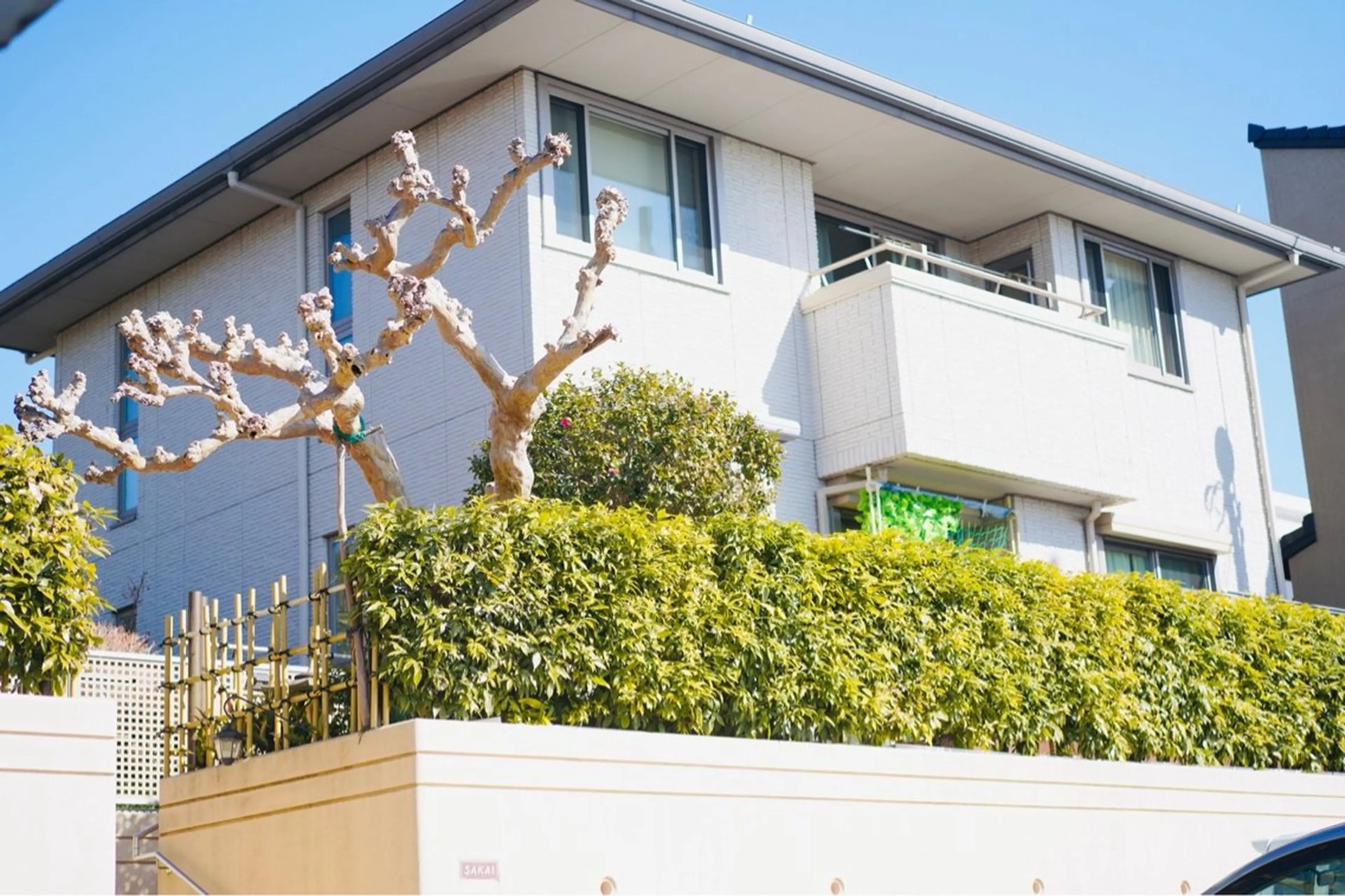 小顔矯正サロン ReFace Fusae(リフェイスフサエ)所属・小顔矯正サロン リフェイスフサエのエステ・リラクイメージ