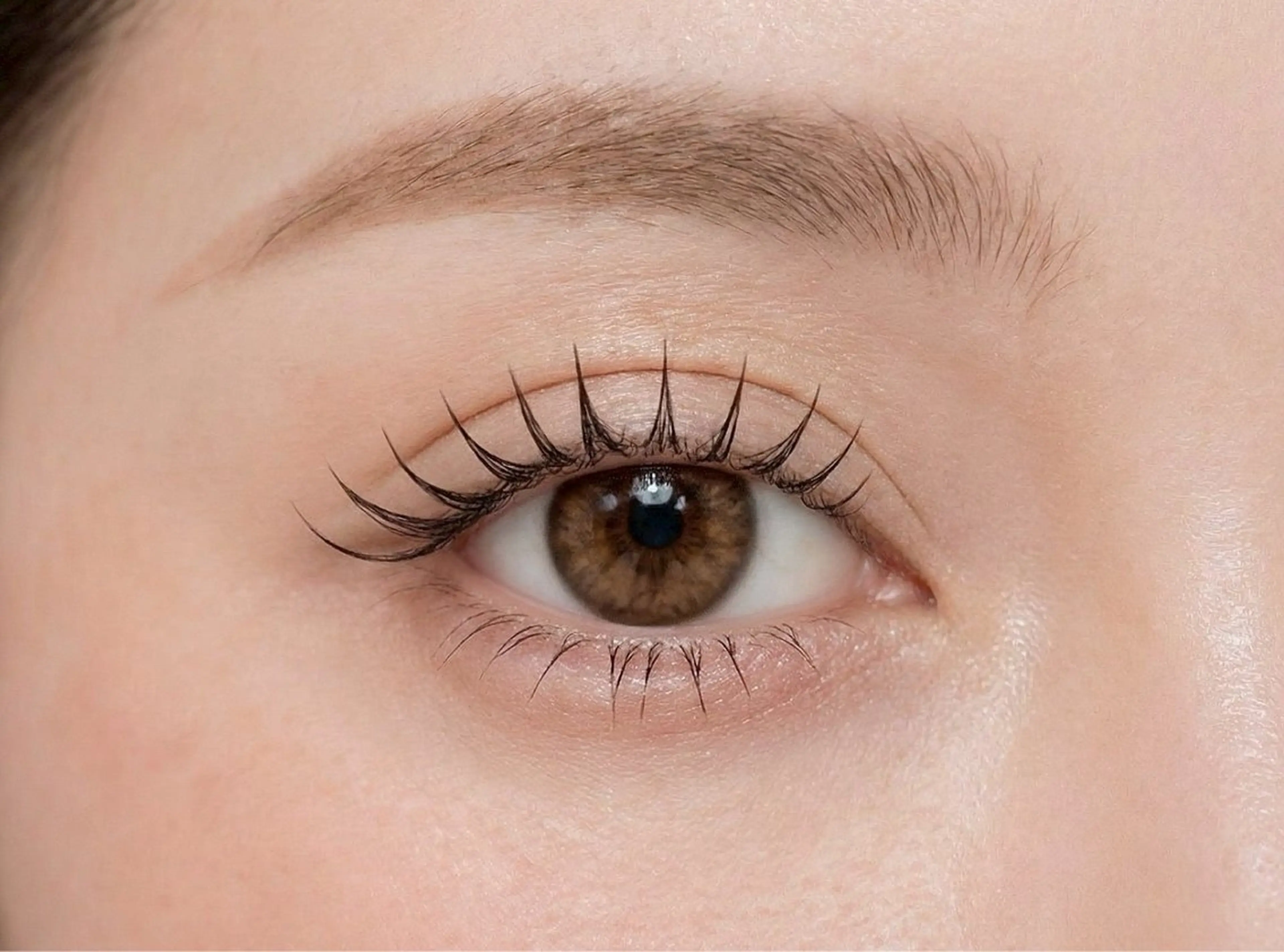 マツエク・マツパ C  BEAUTY所属・岡上 遥香のマツエク・マツパデザイン