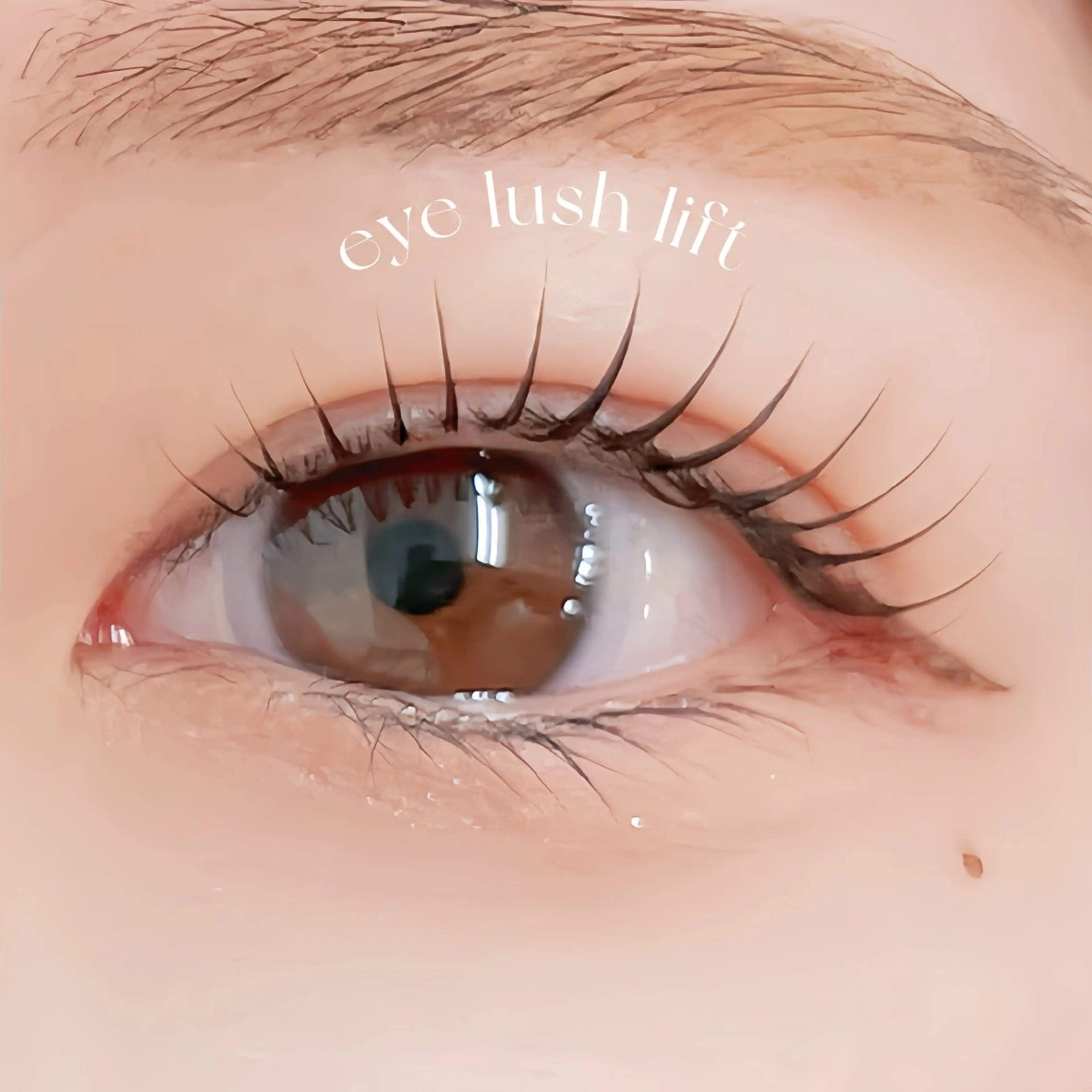 マツエク・マツパ マツパ mai /マツパ.眉のマツエク・マツパデザイン