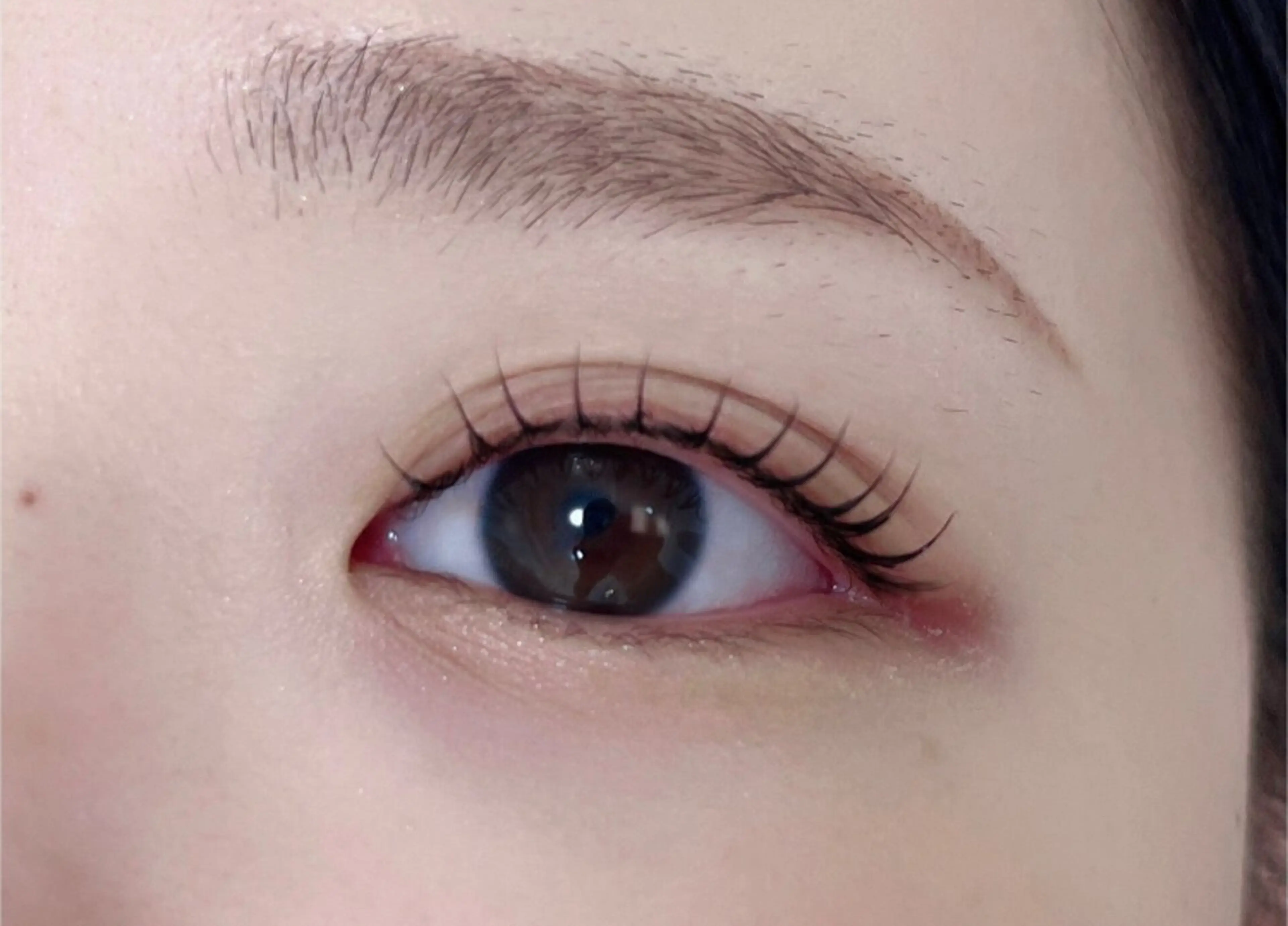 マツエク・マツパ マツパ アレグレス所属・アレグレス@池袋 🌹大人気店🌹のマツエク・マツパデザイン