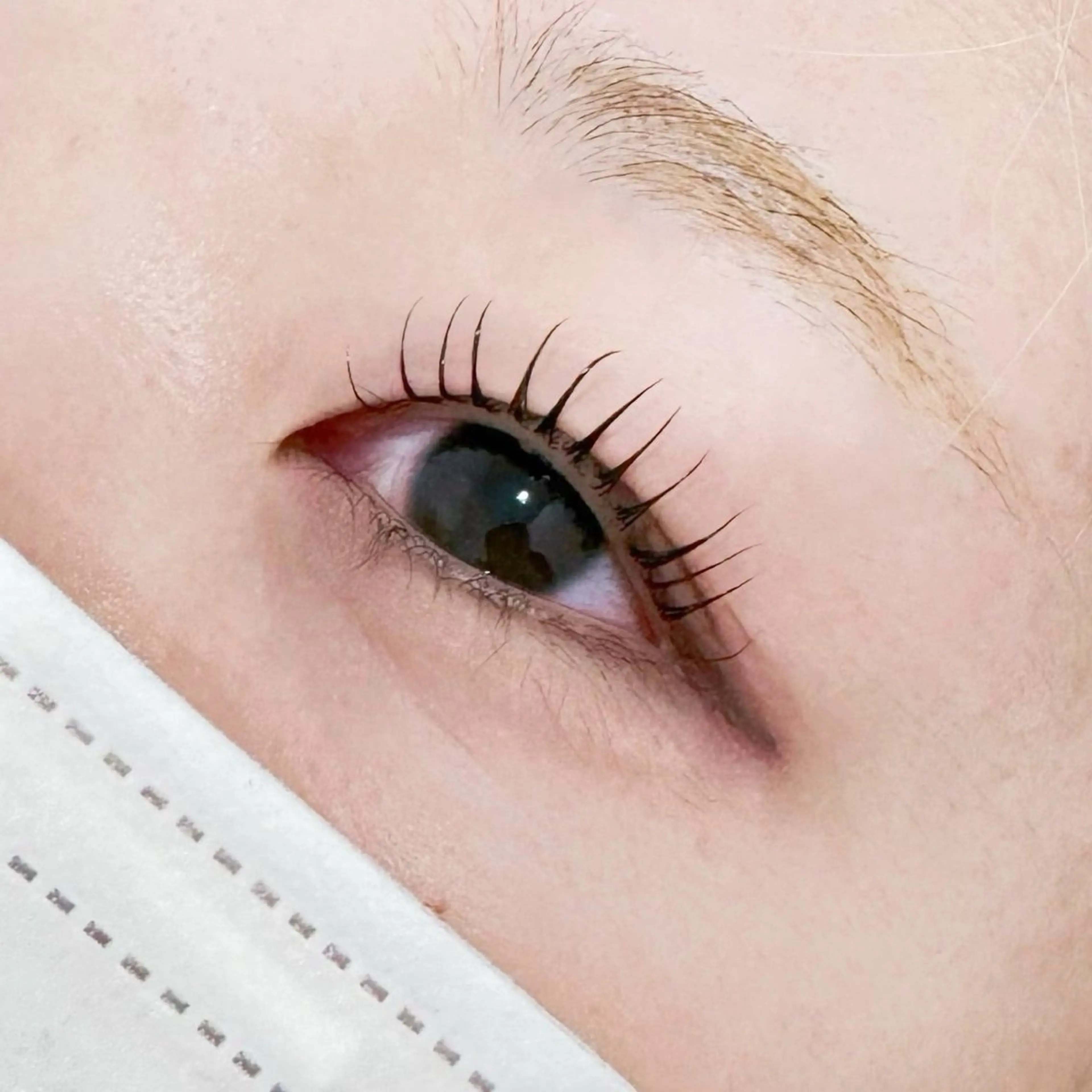 マツエク・マツパ cieloオアシス店所属・cielo シエロのマツエク・マツパデザイン