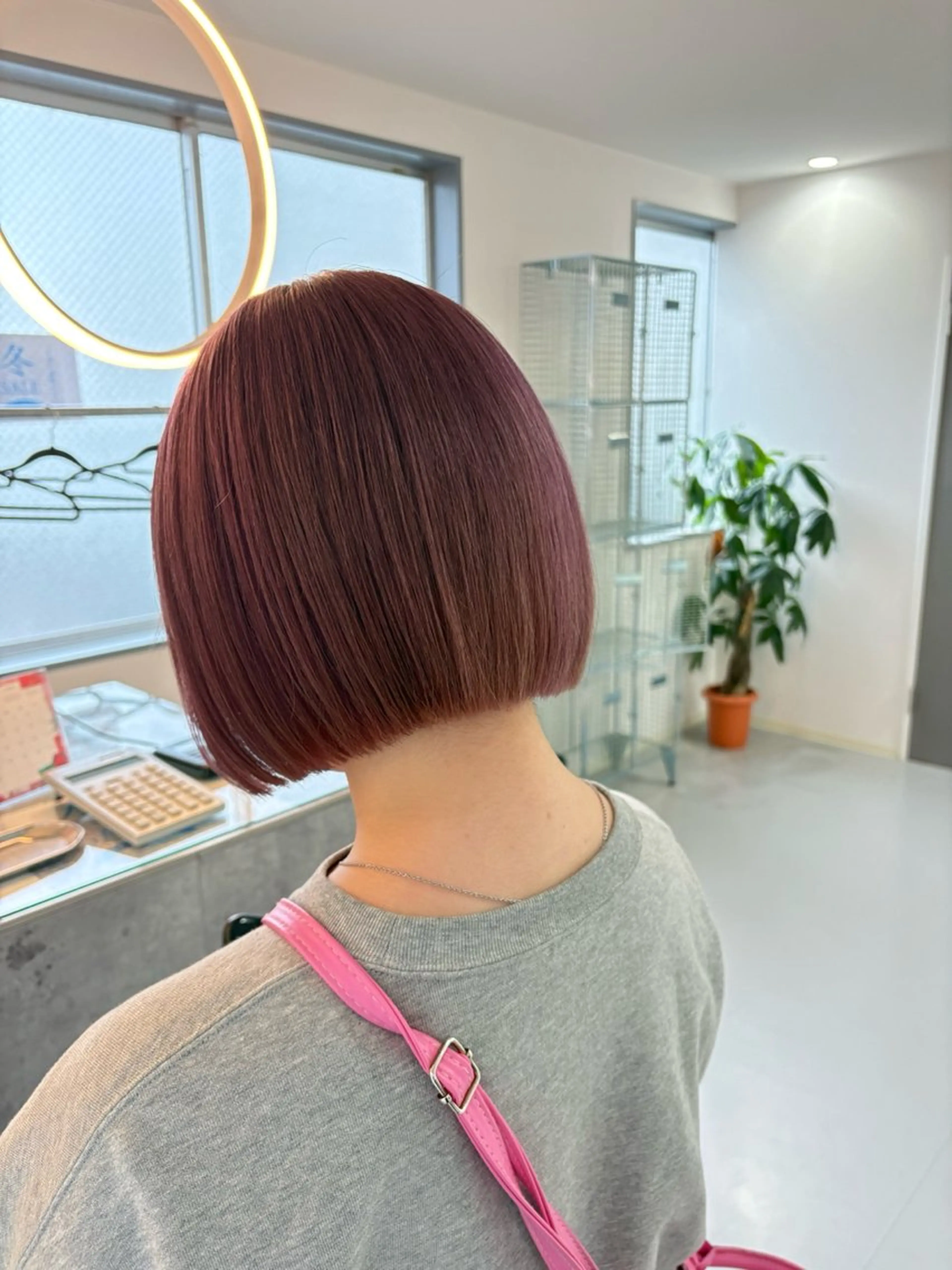 ダブルカラー【minimo限定価格】の写真