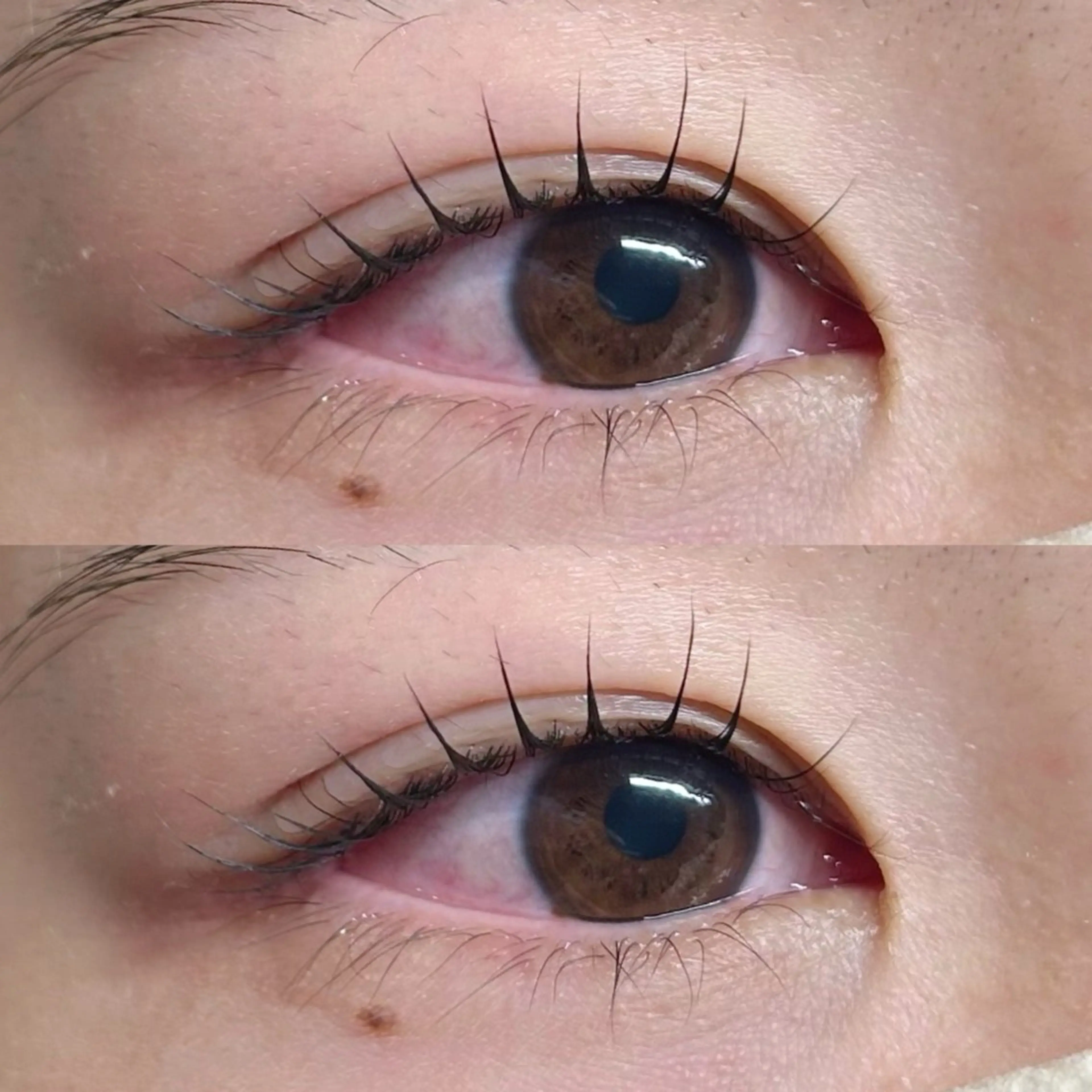 マツエク・マツパ マツパ Rise 🎀のマツエク・マツパデザイン