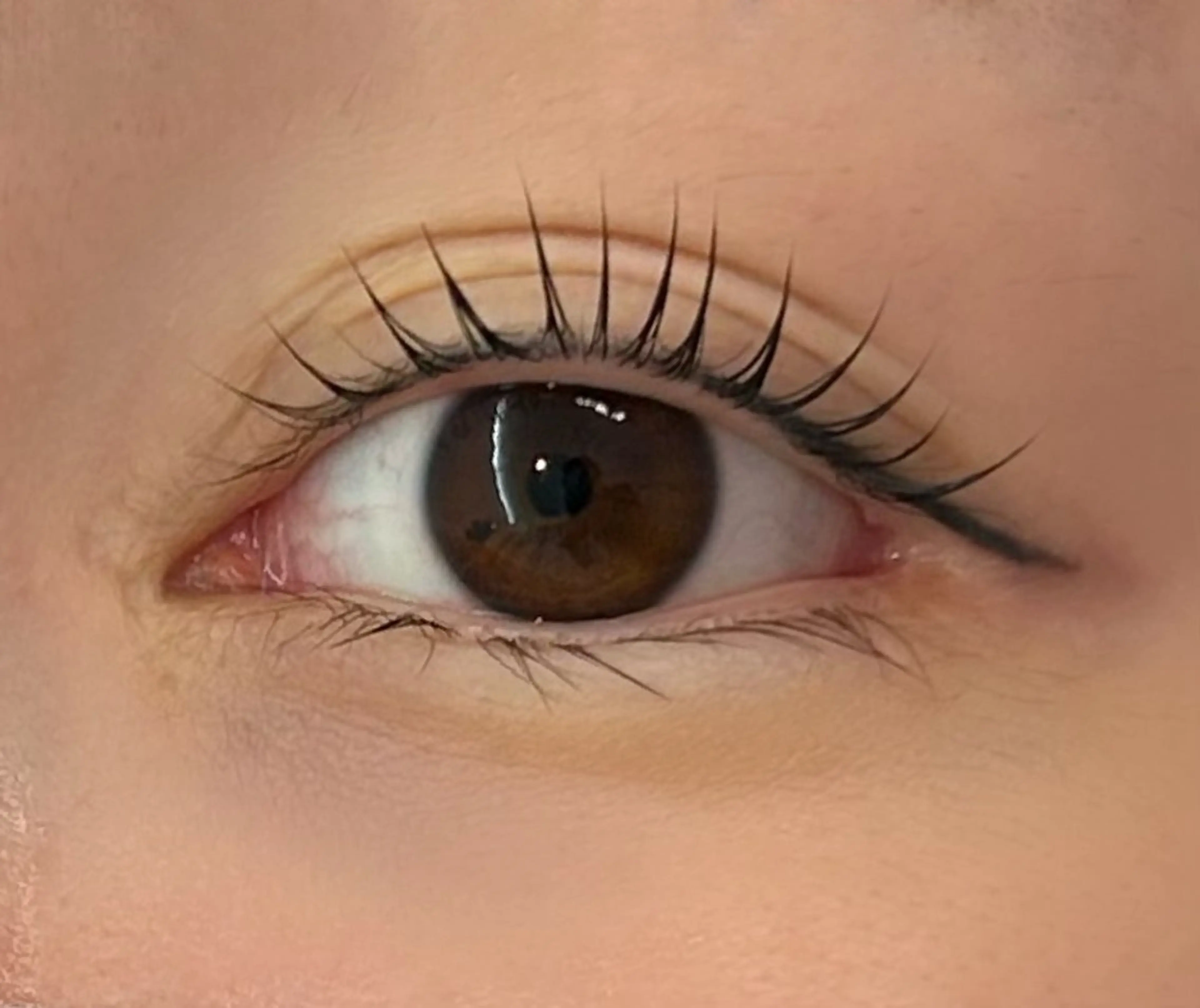 マツエク・マツパ 一重×まつ毛パーマ マツパ GLUCK宇都宮錦所属・GLUCK eyebrowの眉毛・アイブロウイメージ