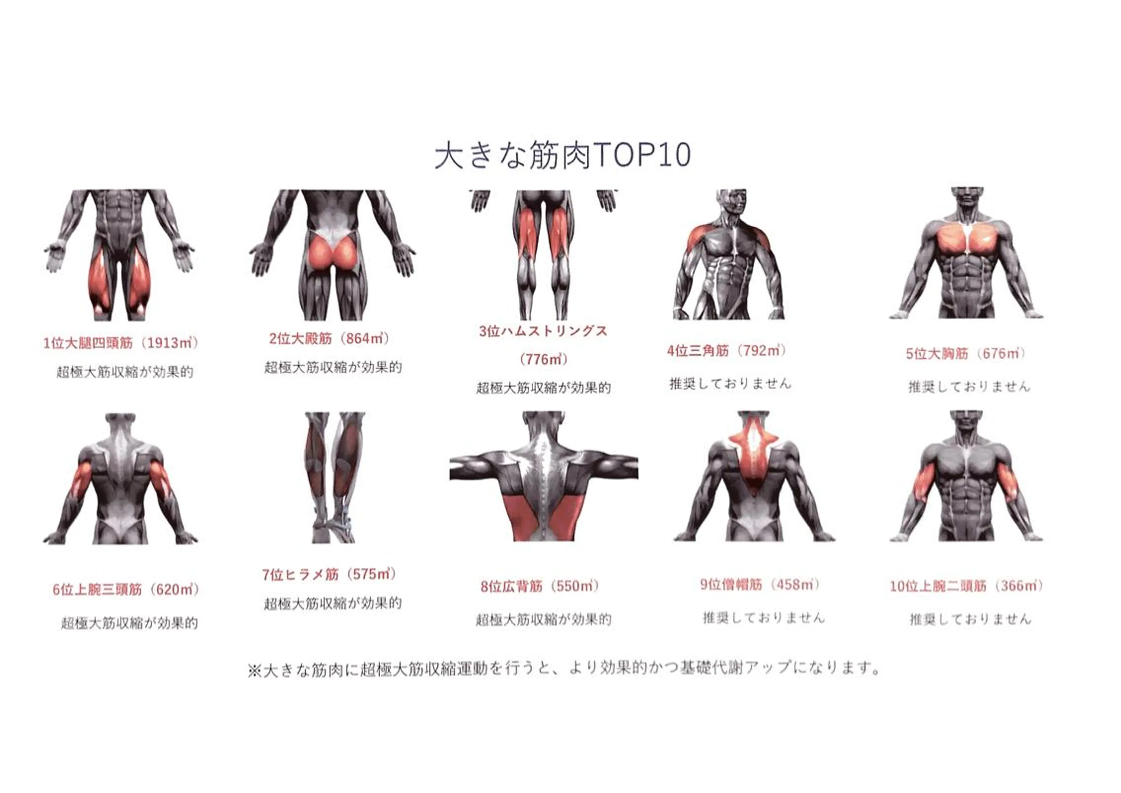 ポー・ラ・サンテ 新宿御苑店のその他イメージ