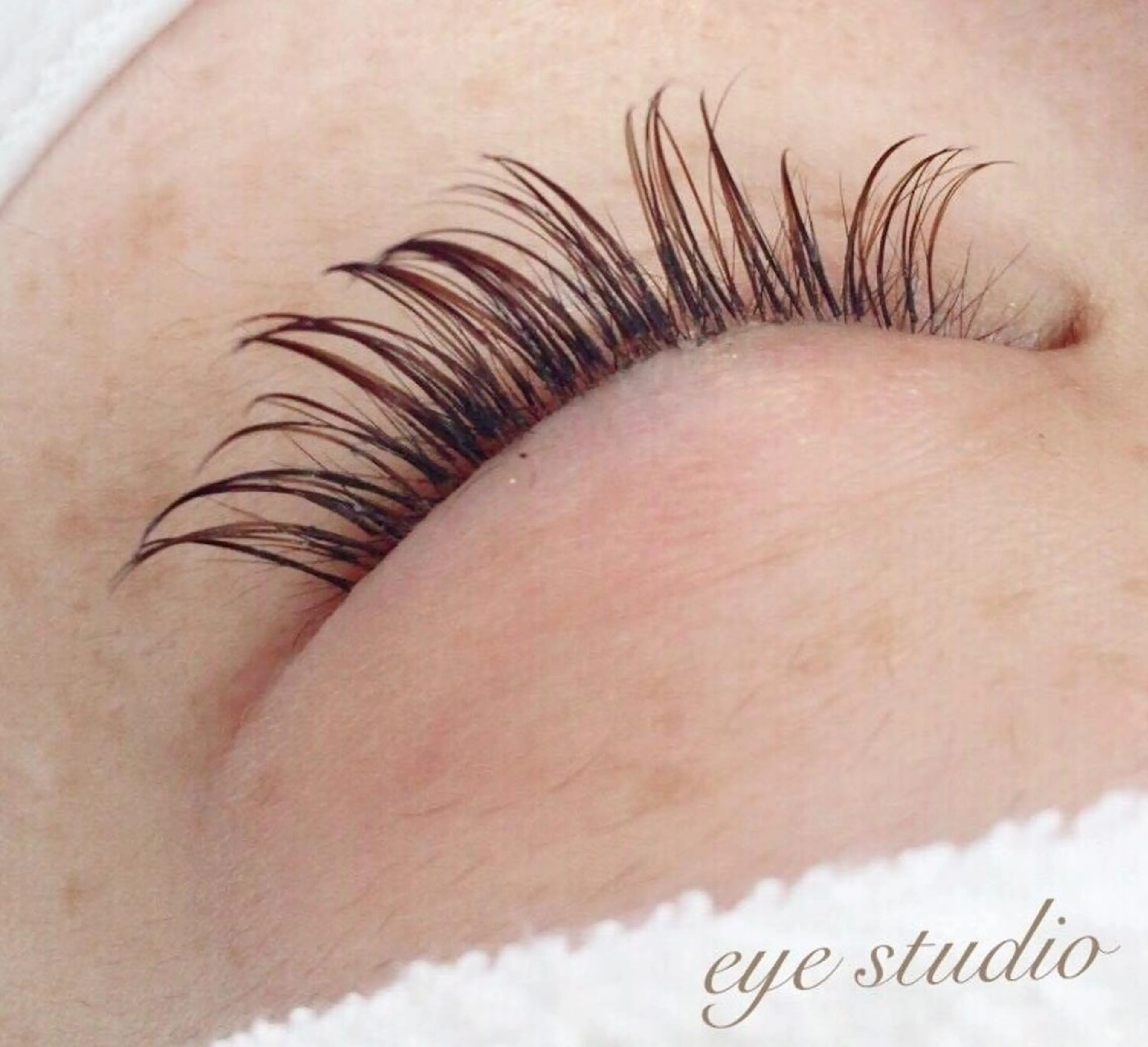 今流行りのブラウンラッシュ🤎100本4400円（オフ込み美容液コーティング付き）の写真