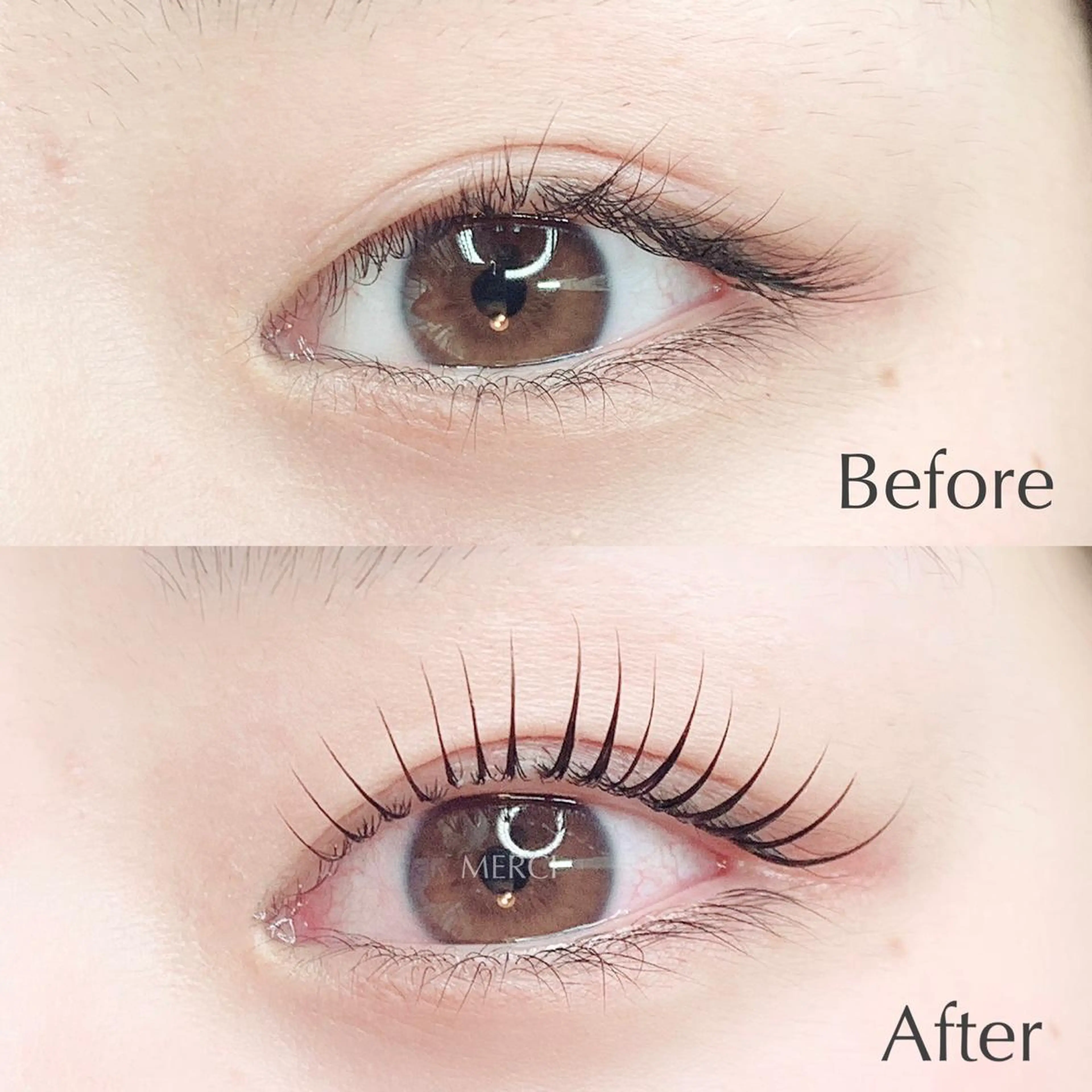 大人気No.1＊ラッシュリフト導入店＊（ケラチン+コーティング付き）の写真