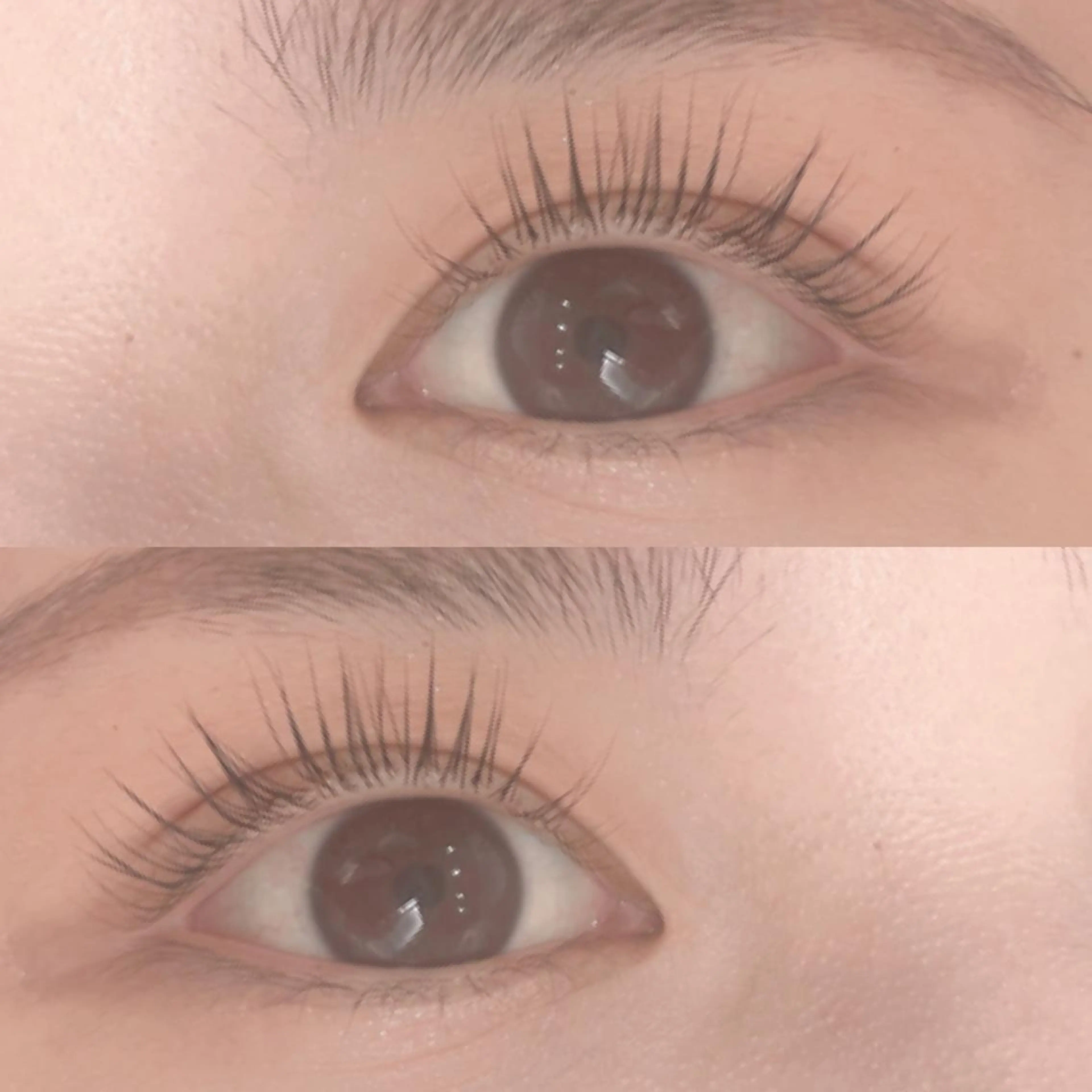 パリジェンヌ＋美容液コーティング🐰🌟の写真