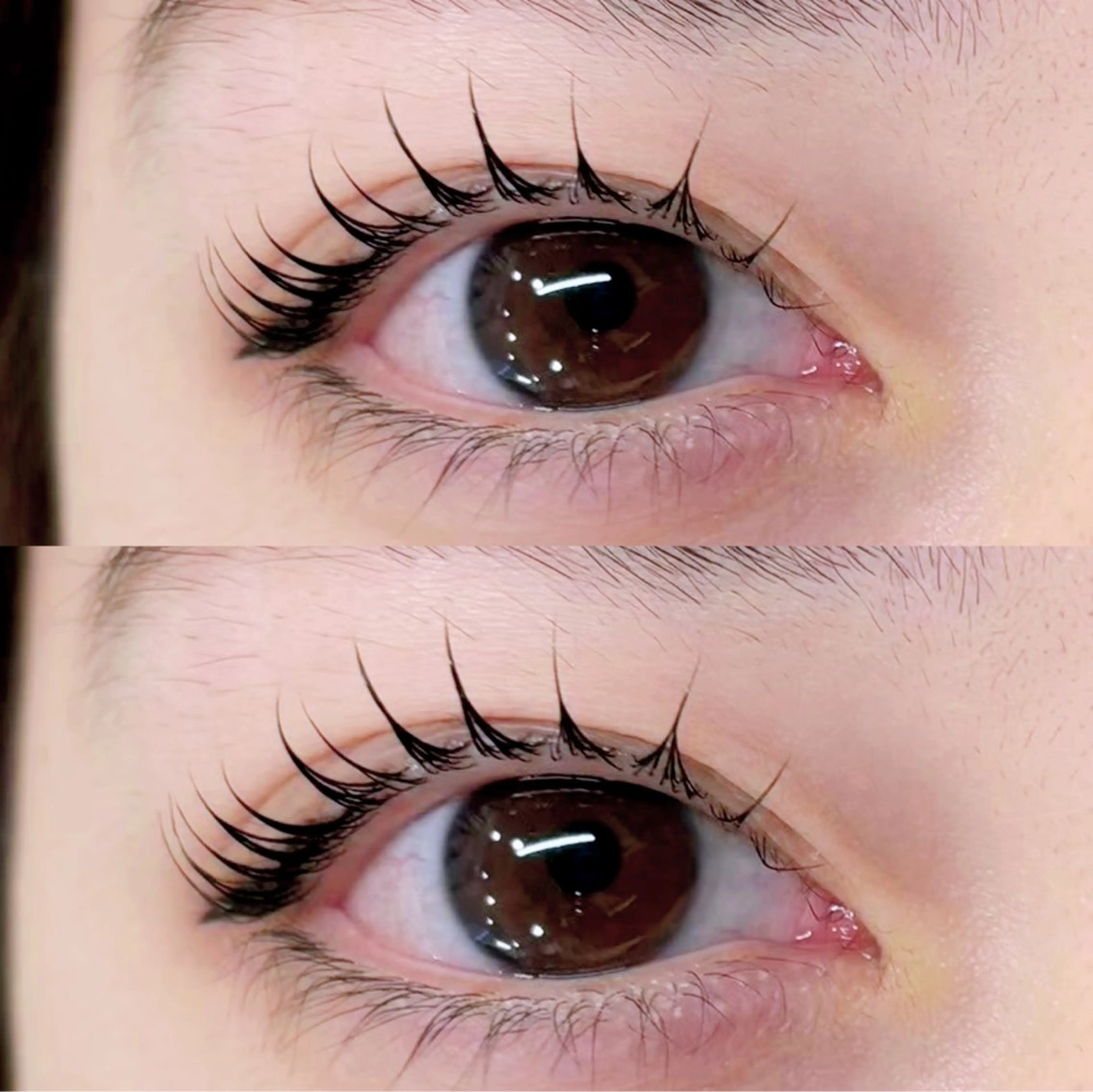 マツエク・マツパ バインドロック フラットラッシュ パリジェンヌラッシュリフト まつげパーマ 下まつげエクステ 🎀Lino 中目黒 TAKAMI🐈のマツエク・マツパデザイン