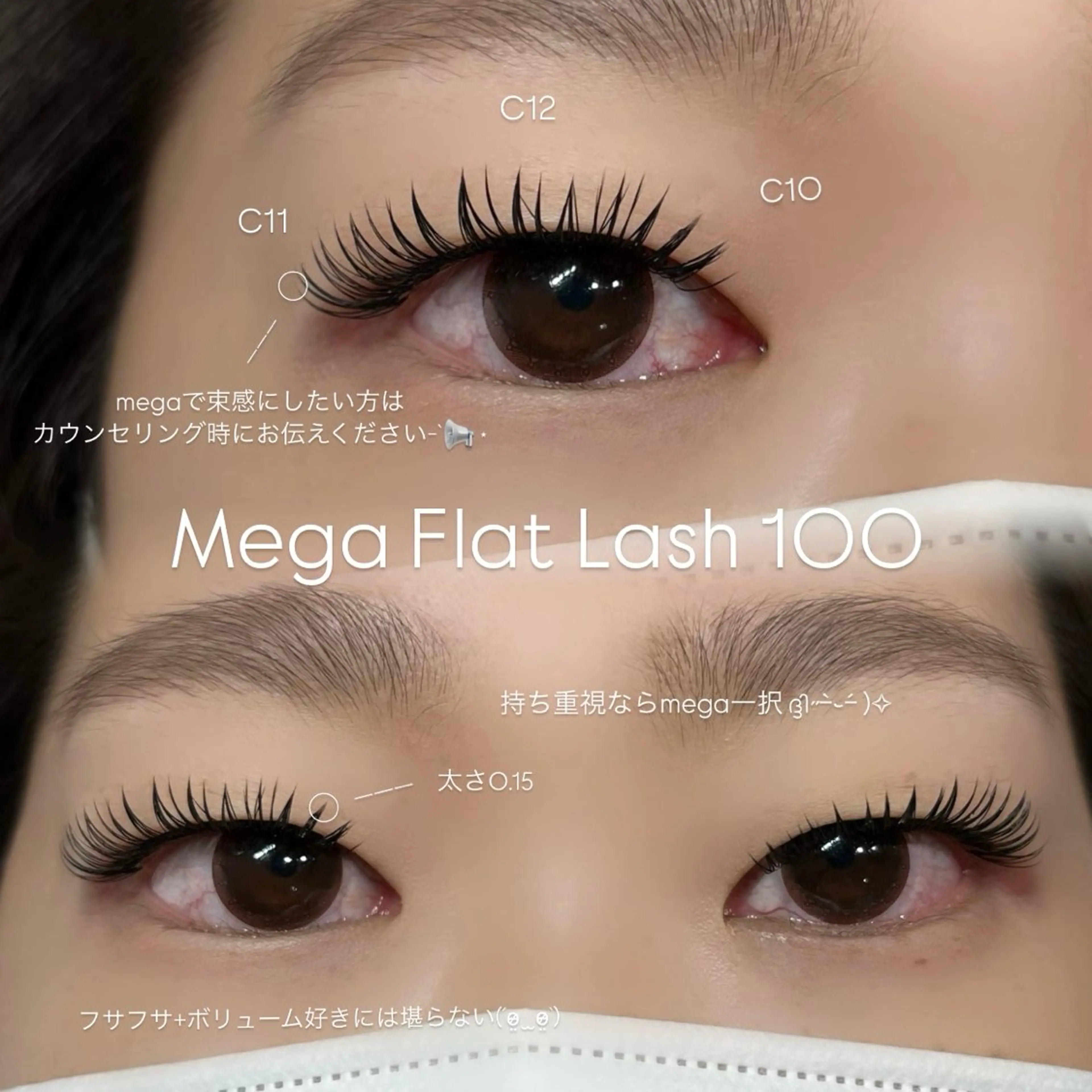 【12月限定】メガフラットラッシュ100束🩷🪽の写真