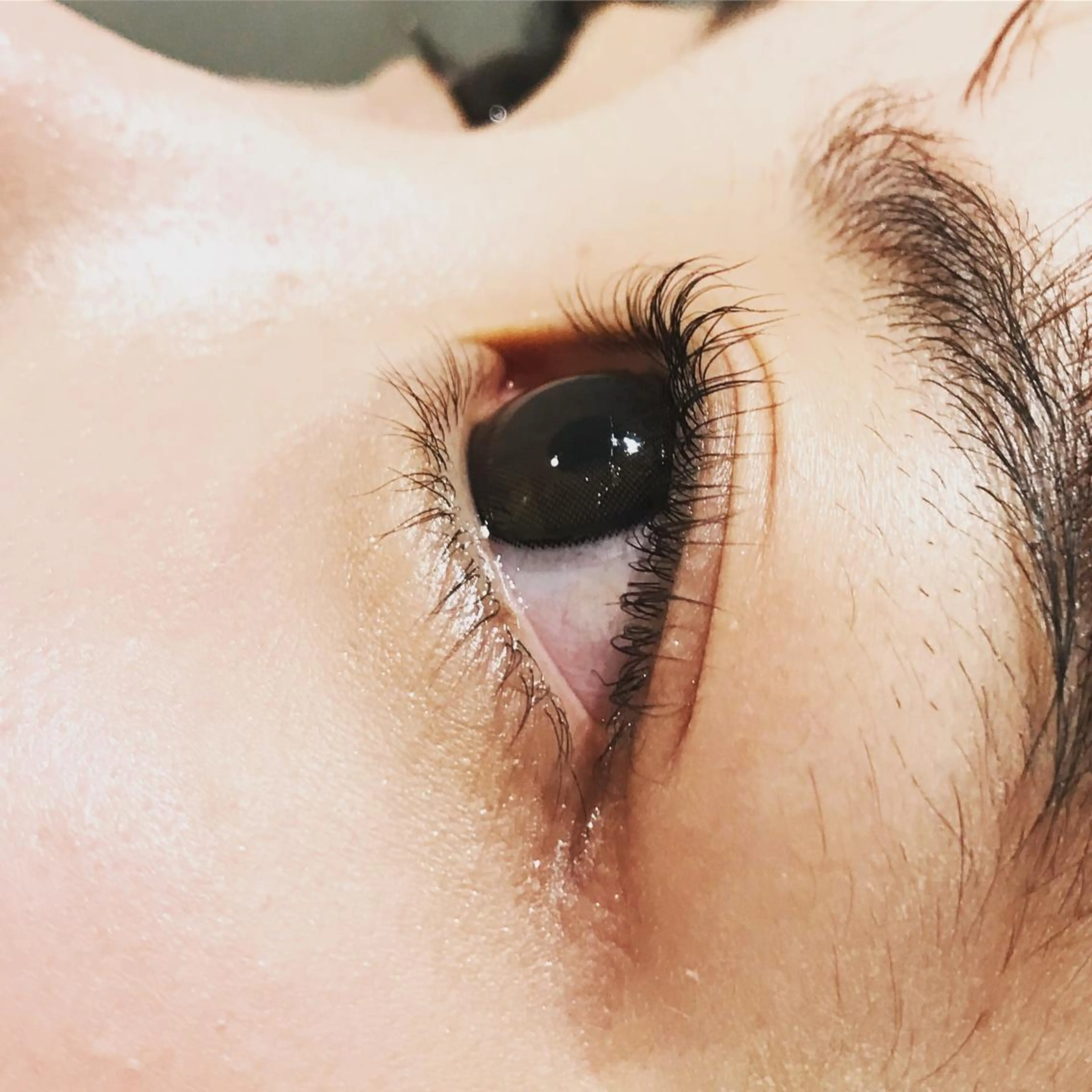 マツエク・マツパ 一重×まつ毛パーマ にっくに ちひろの眉毛・アイブロウイメージ