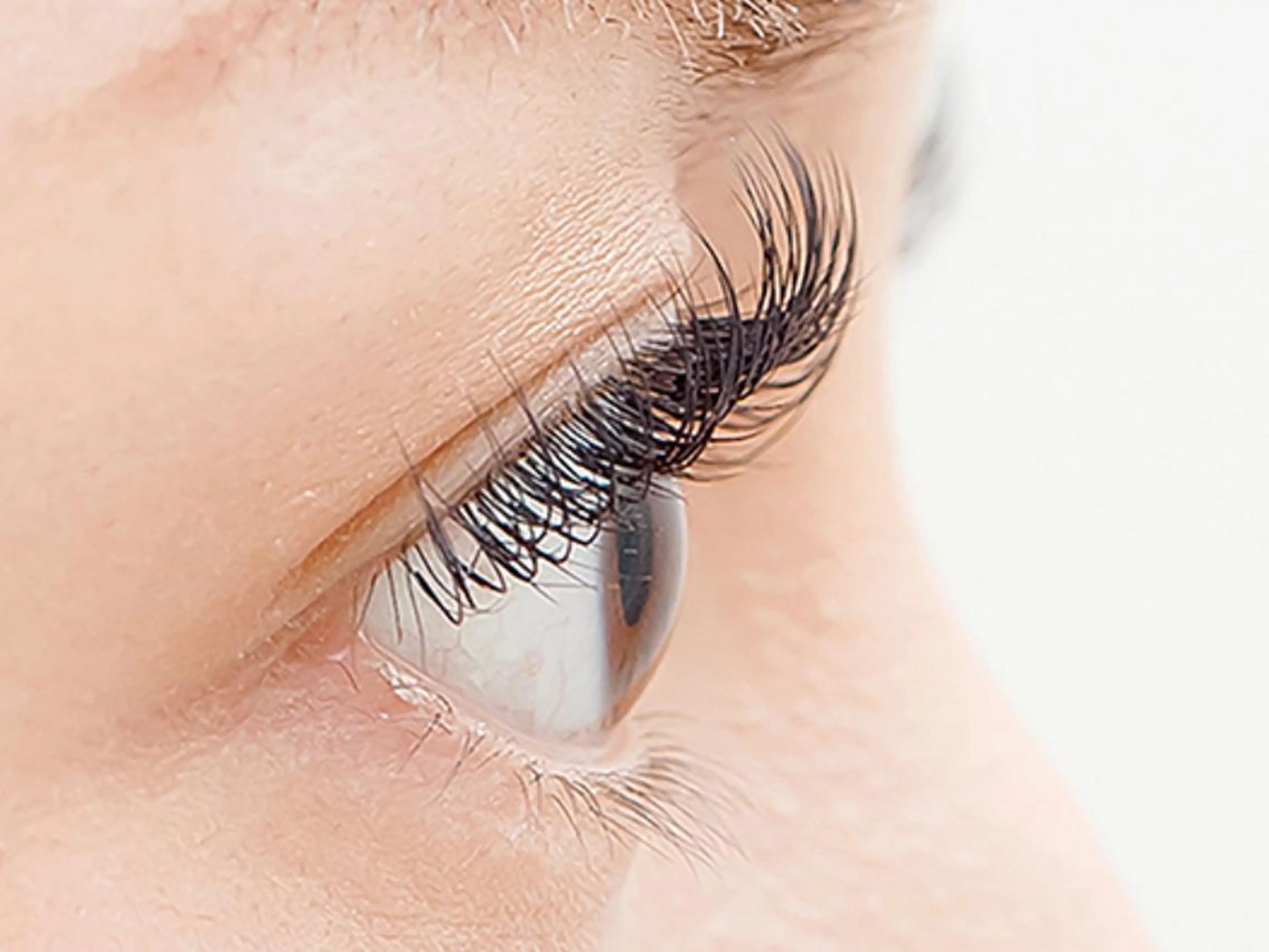 ⭐フラットラッシュ⭐まつげエクステ付け放題🦄の写真