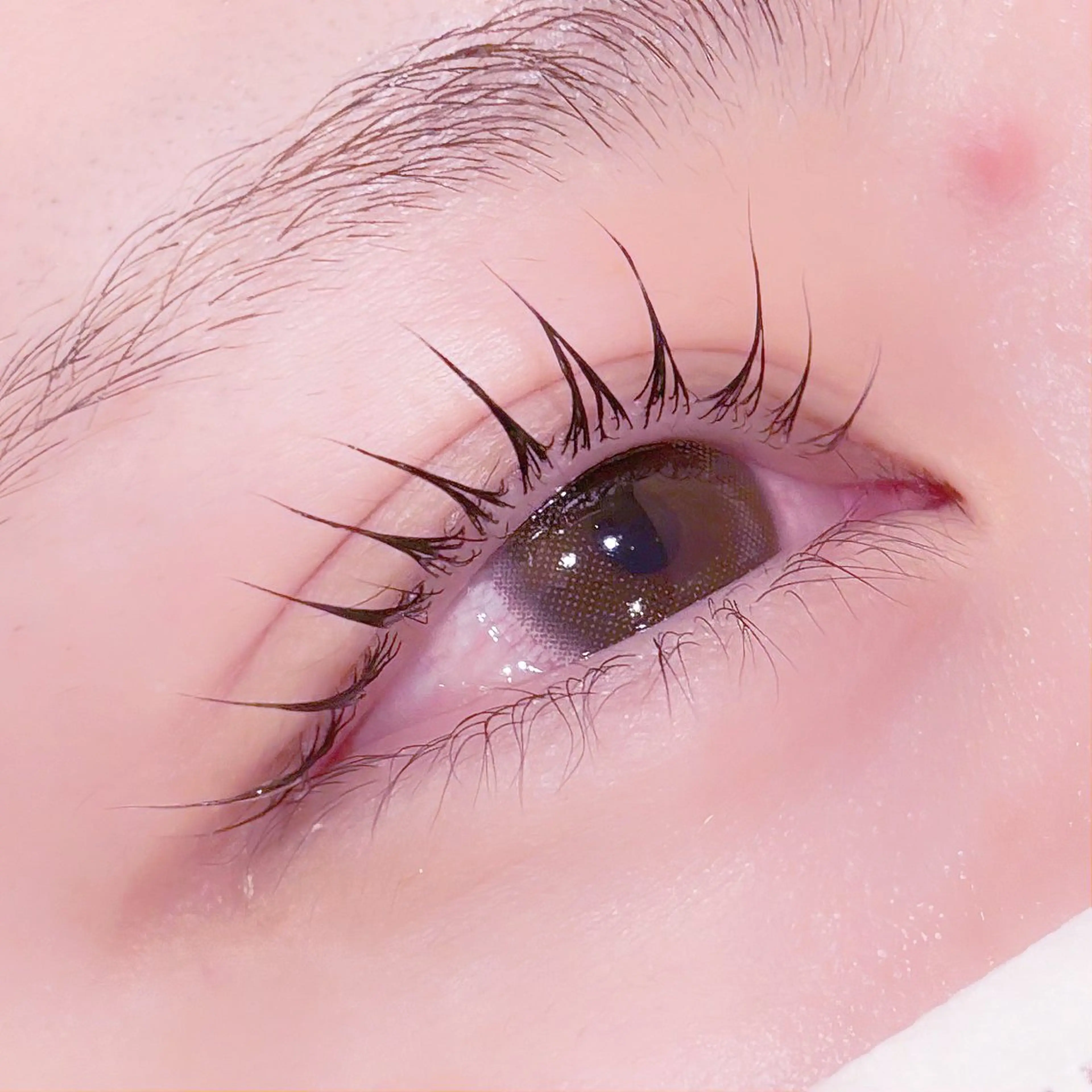 マツエク・マツパ pono大宮東口店 店長🩰AOHA🩰のマツエク・マツパデザイン