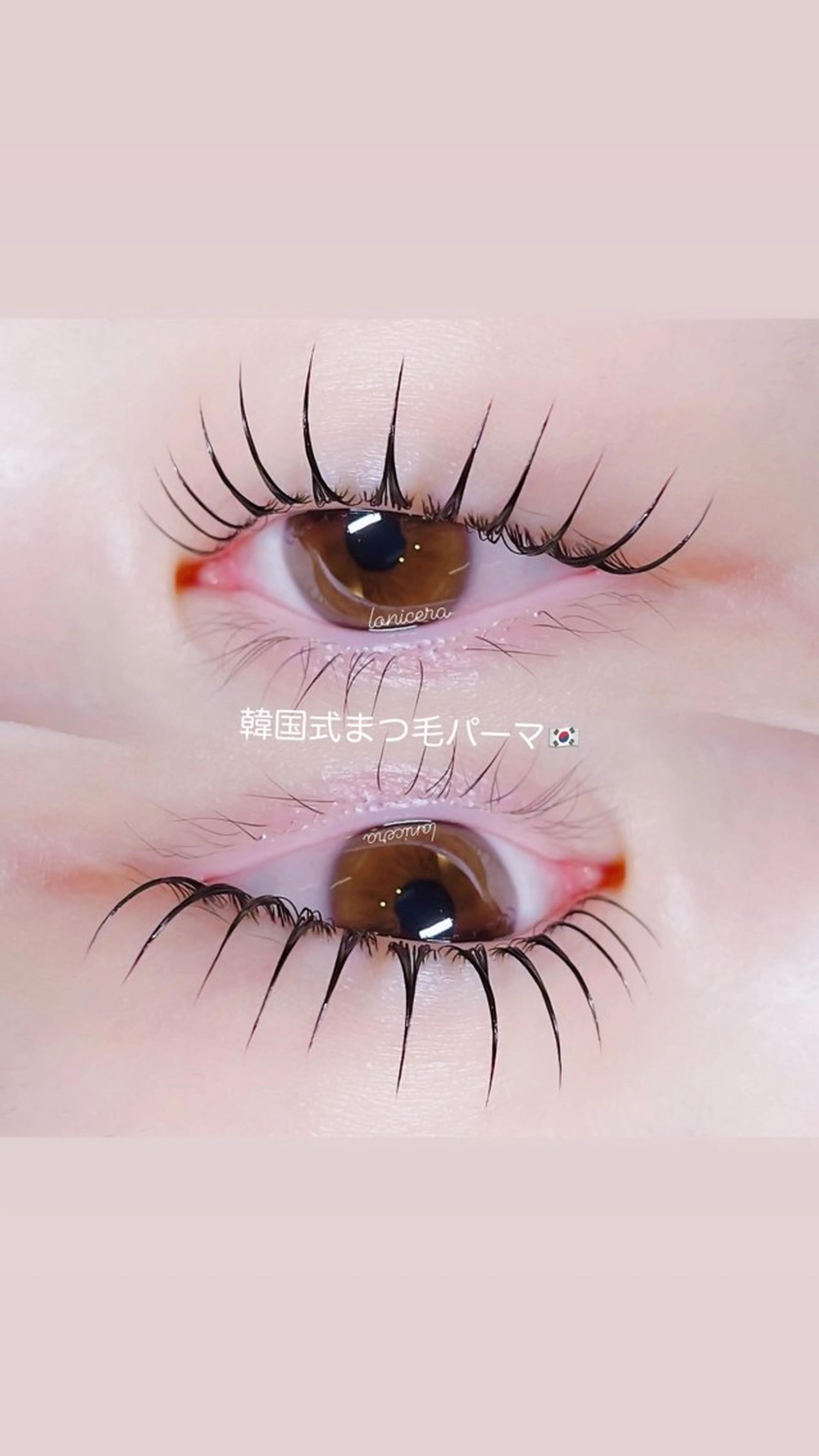 マツエク・マツパ 韓国風マツエク 一重×まつ毛パーマ ロニセラ アイラッシュのマツエク・マツパデザイン
