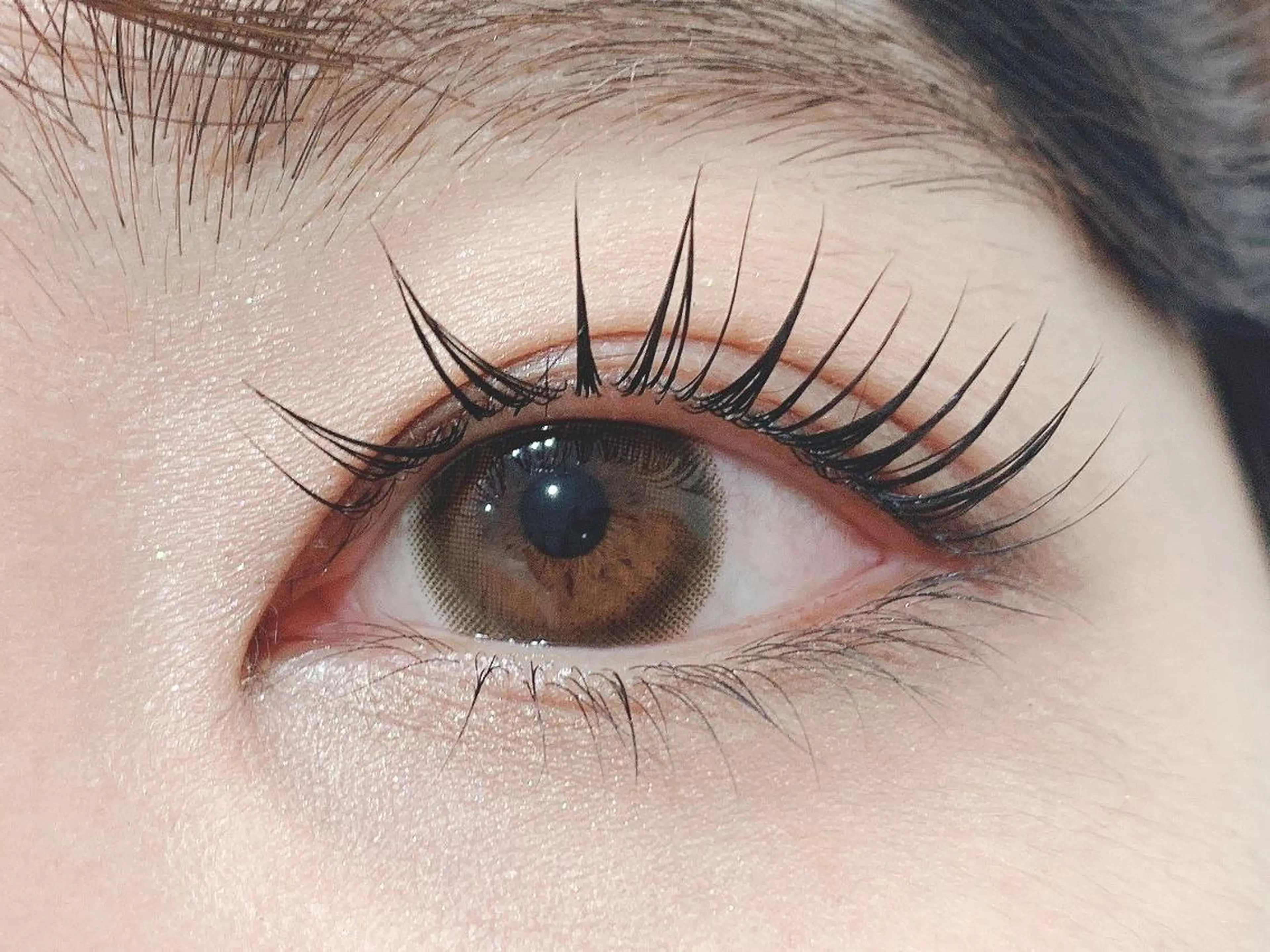 <ご新規様限定>◆ラッシュリフト(上)60分(最終30分予約不可)の写真