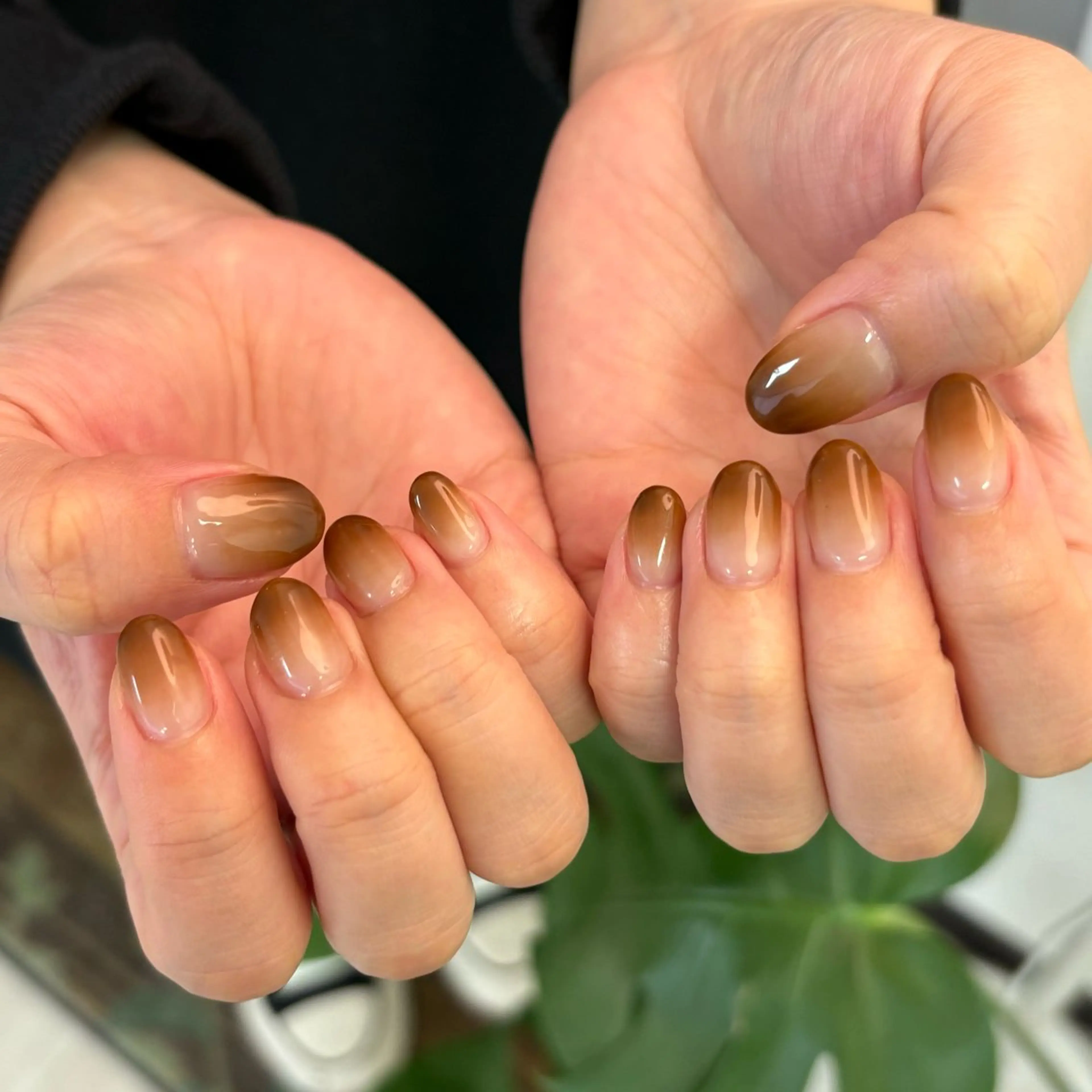 [オフなし]カラーグラデーションの写真