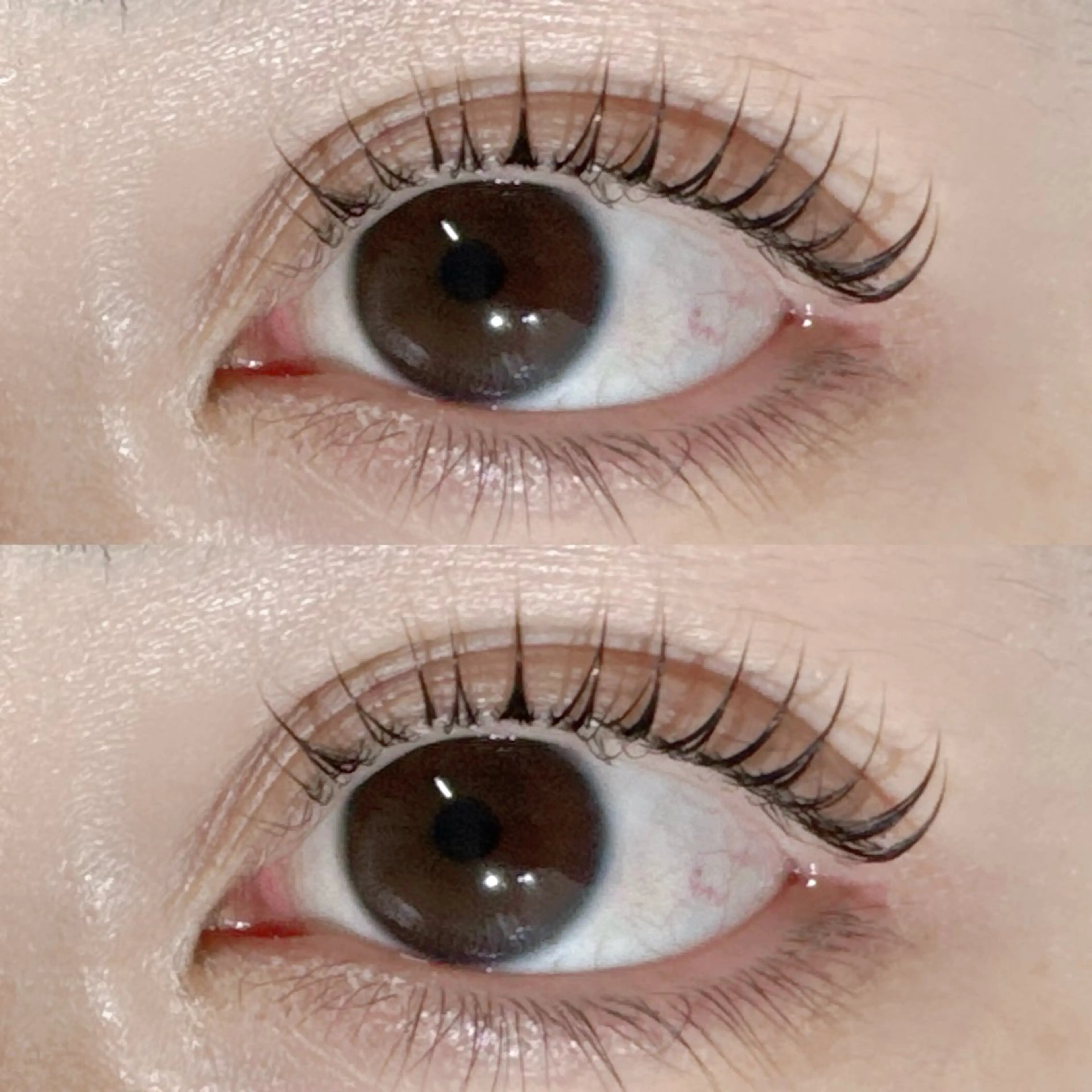 マツエク・マツパ LAUREL まつパ🌷Yuinaのマツエク・マツパデザイン