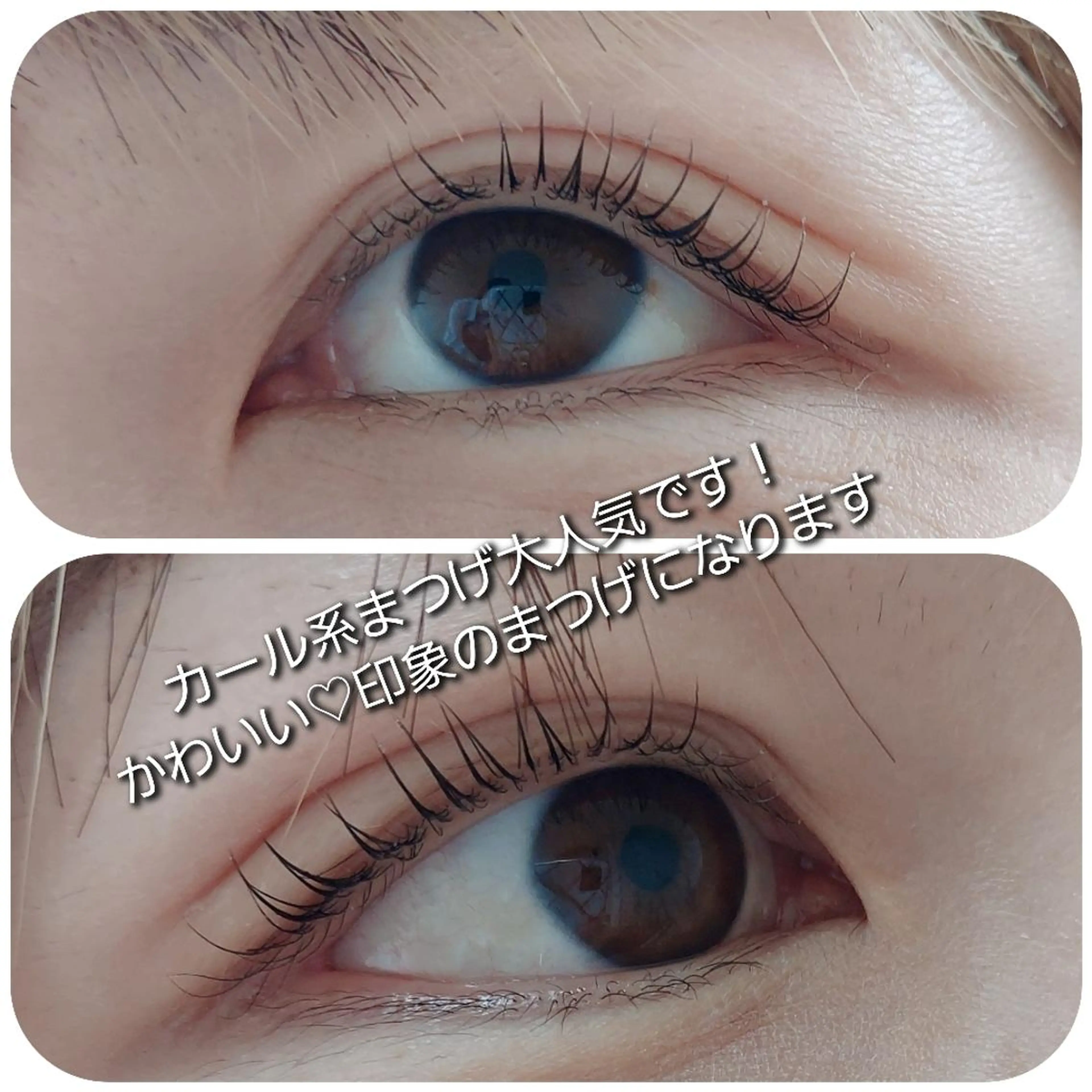 マツエク・マツパ eyelash Recona 所属・eyelash  Recona のマツエク・マツパデザイン