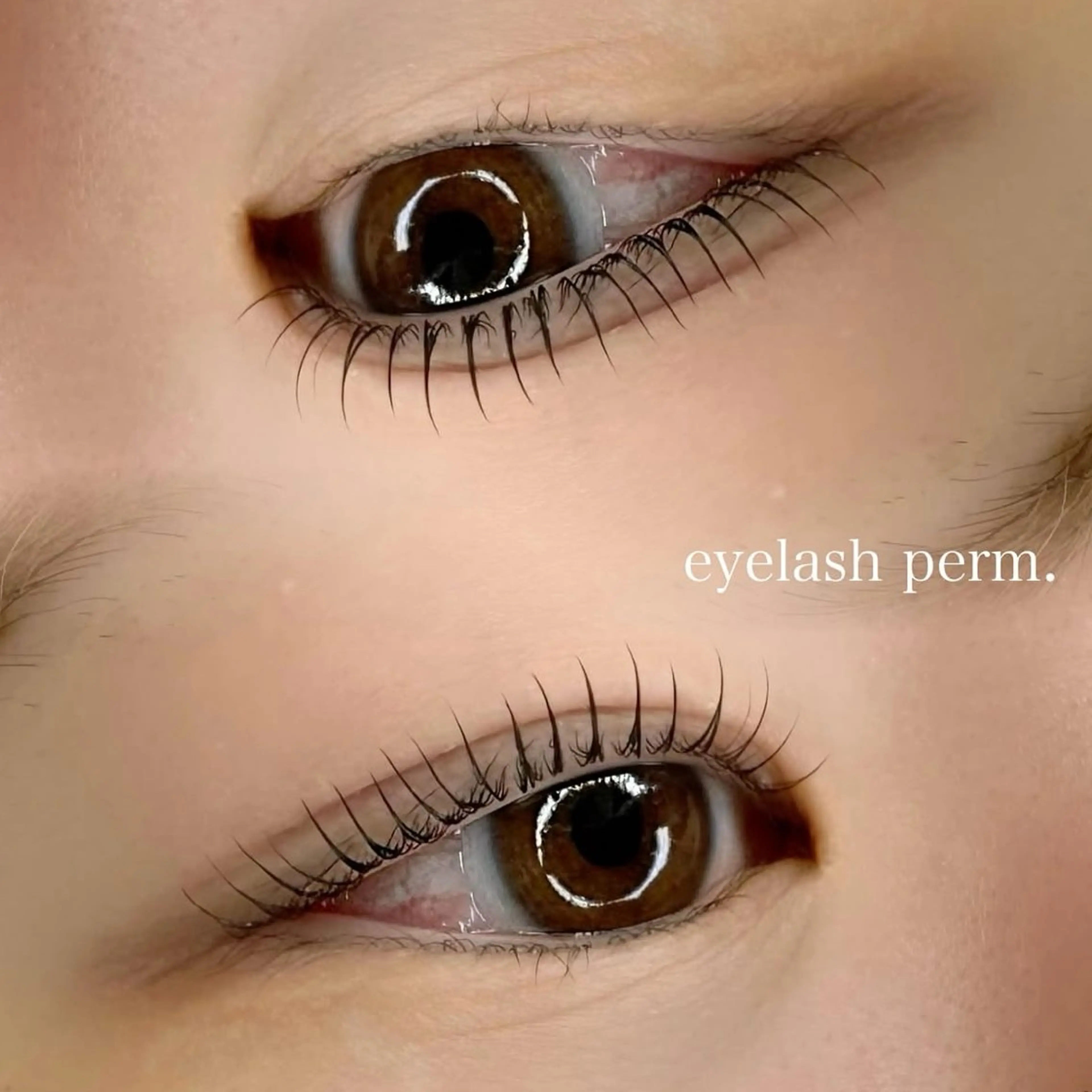 マツエク・マツパ petit【プティ】所属・kotori harukaの眉毛・アイブロウイメージ