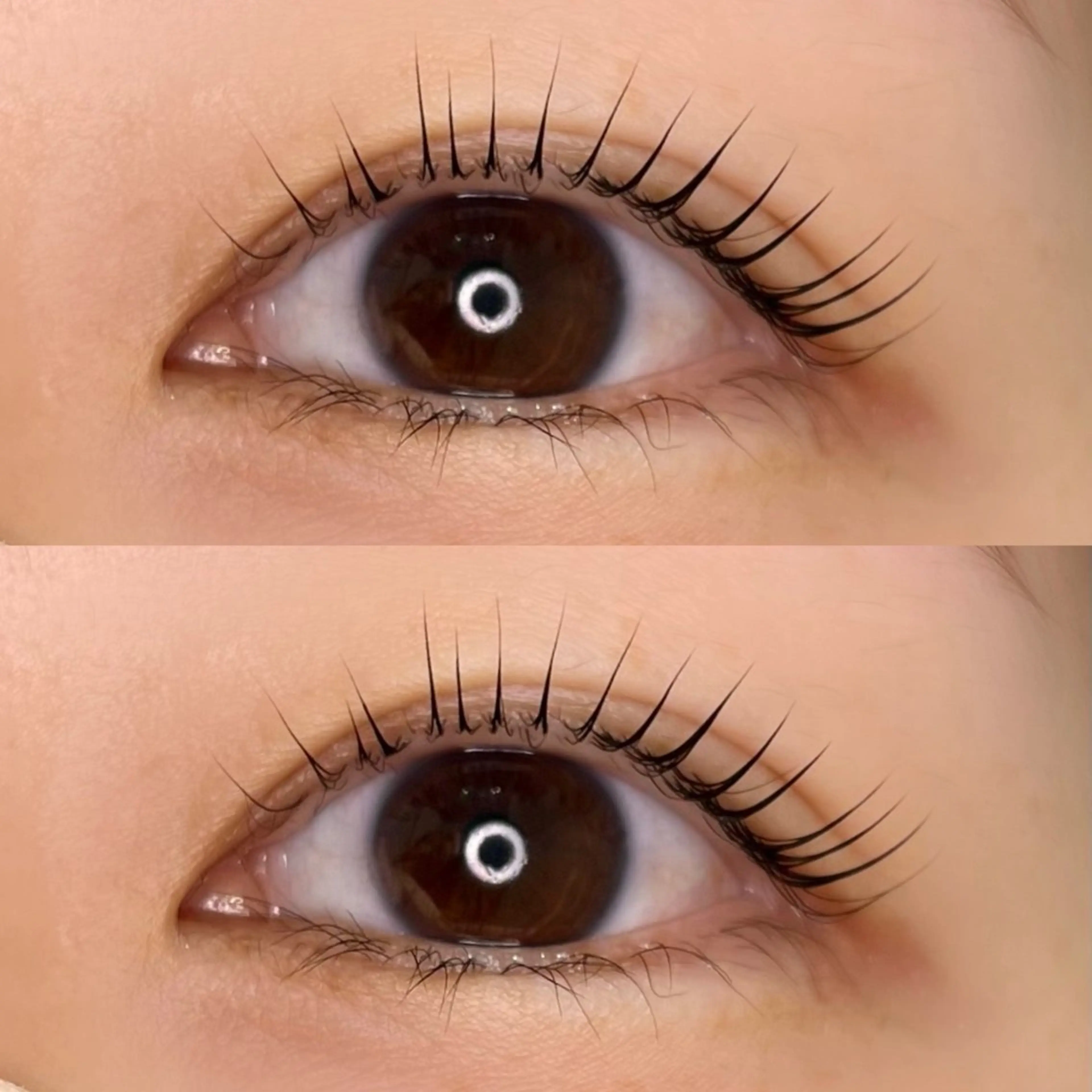 当日限定価格🤍パリジェンヌラッシュリフト✨の写真