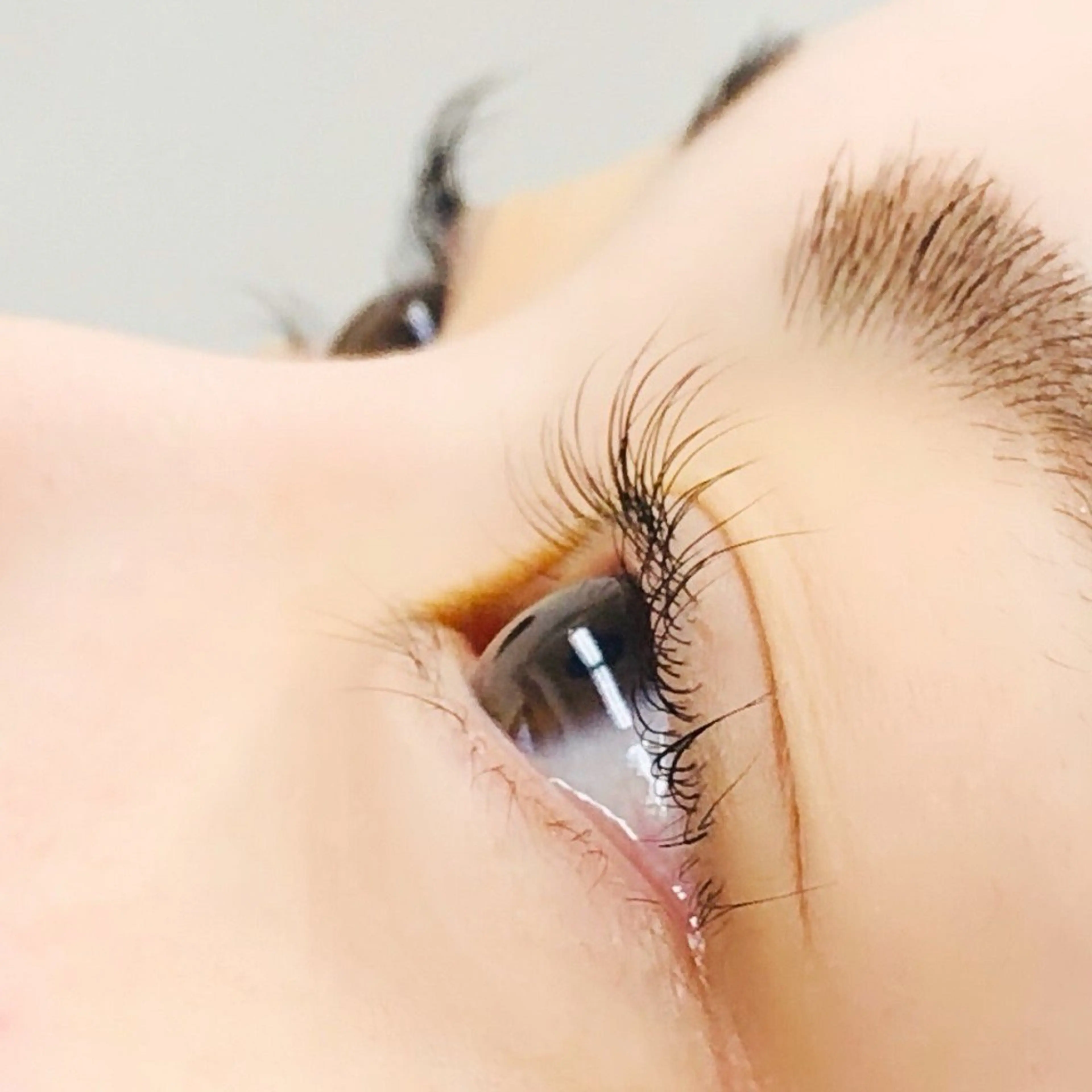 ❤️新規❤️ラッシュリフトまつ毛カール(究極のトリートメント付)新規メニュー現金決済のみの写真