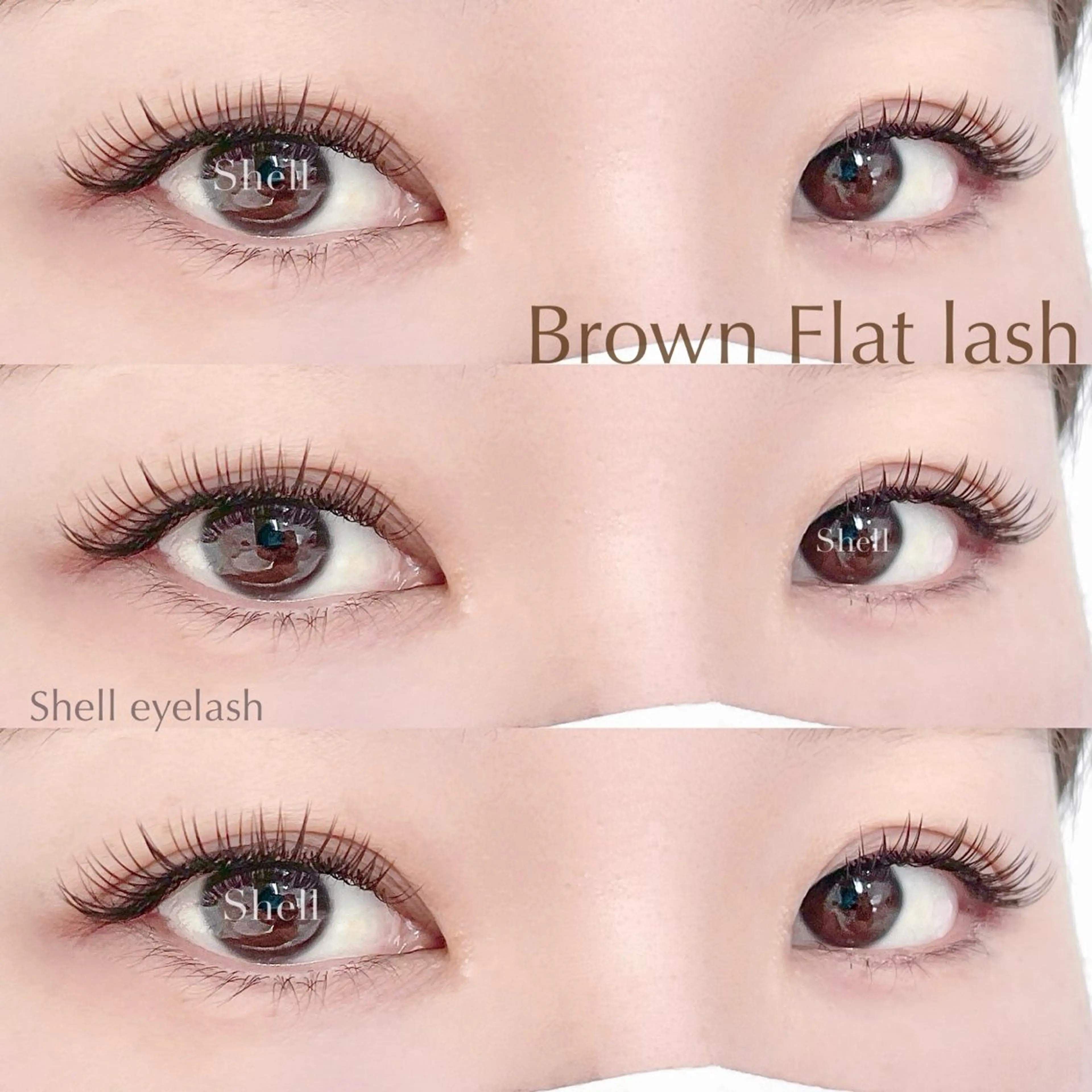 【ご新規様】大人気‪♡オフ無料✩ブラウンフラットラッシュ120本𖤐(オフ無料※LEDオフは別途1000円)の写真