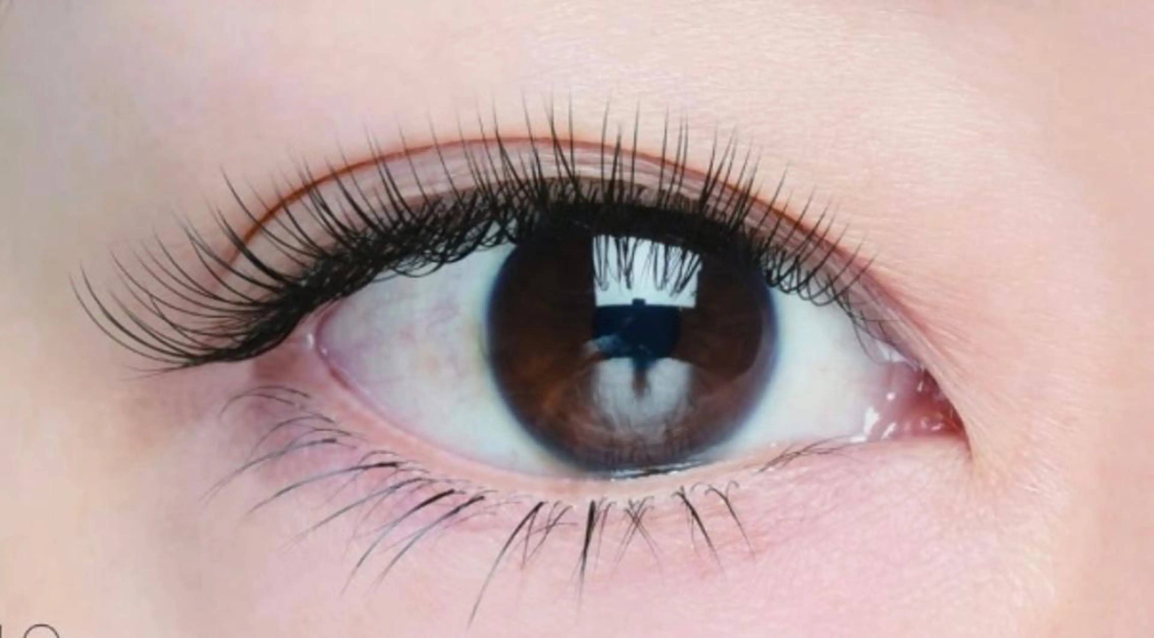 マツエク・マツパ フラットラッシュ ナチュラル Bios eyelashのマツエク・マツパデザイン