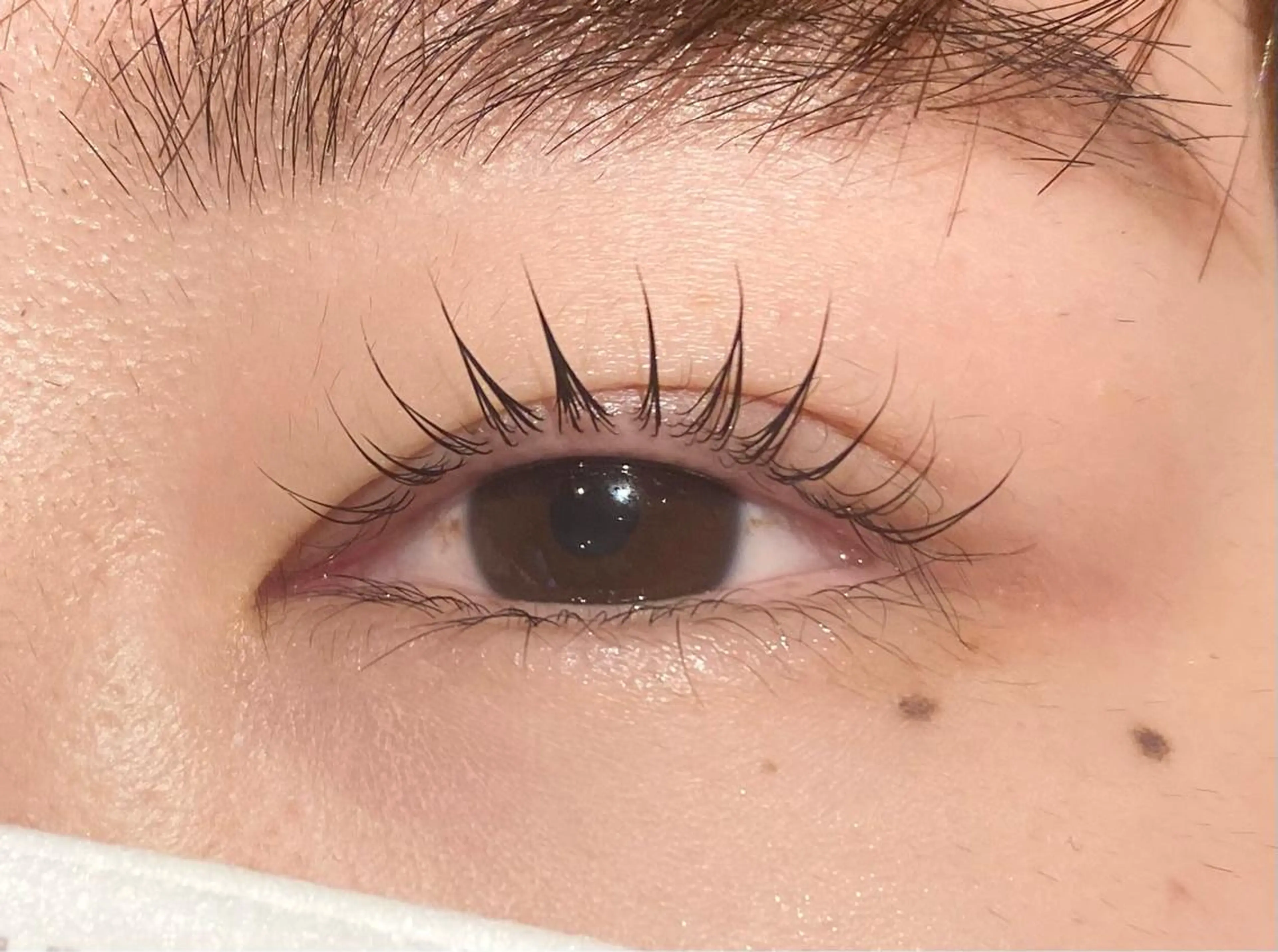 マツエク・マツパ Girasol所属・Girasol ヒラソルのマツエク・マツパデザイン