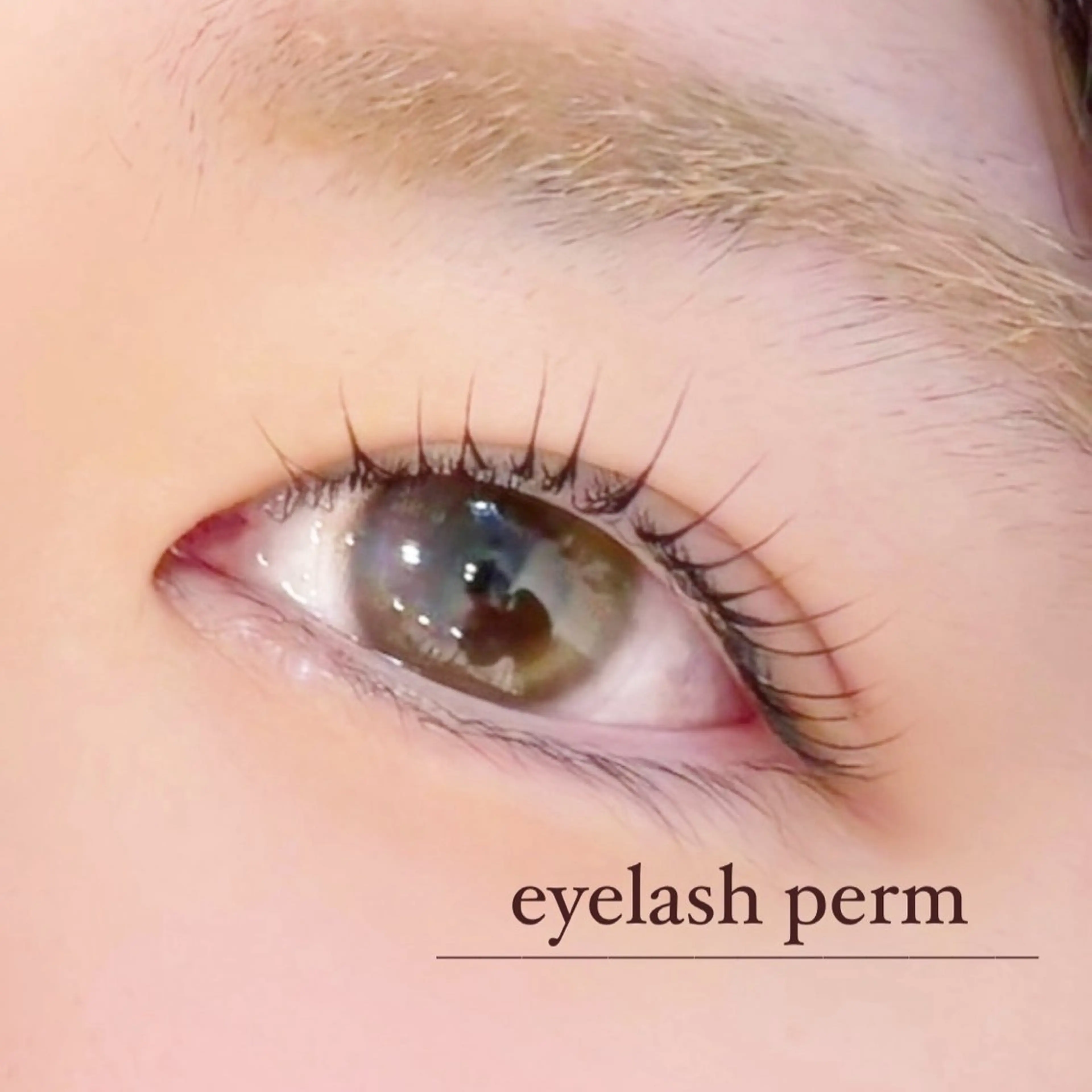 メンズ マツエク・マツパ メンズパーマ 束感まつ毛 パリジェンヌラッシュリフト 一重×まつ毛パーマ eyelashsalon I:belle by BINEL所属・【i:belle】 Rinのマツエク・マツパデザイン