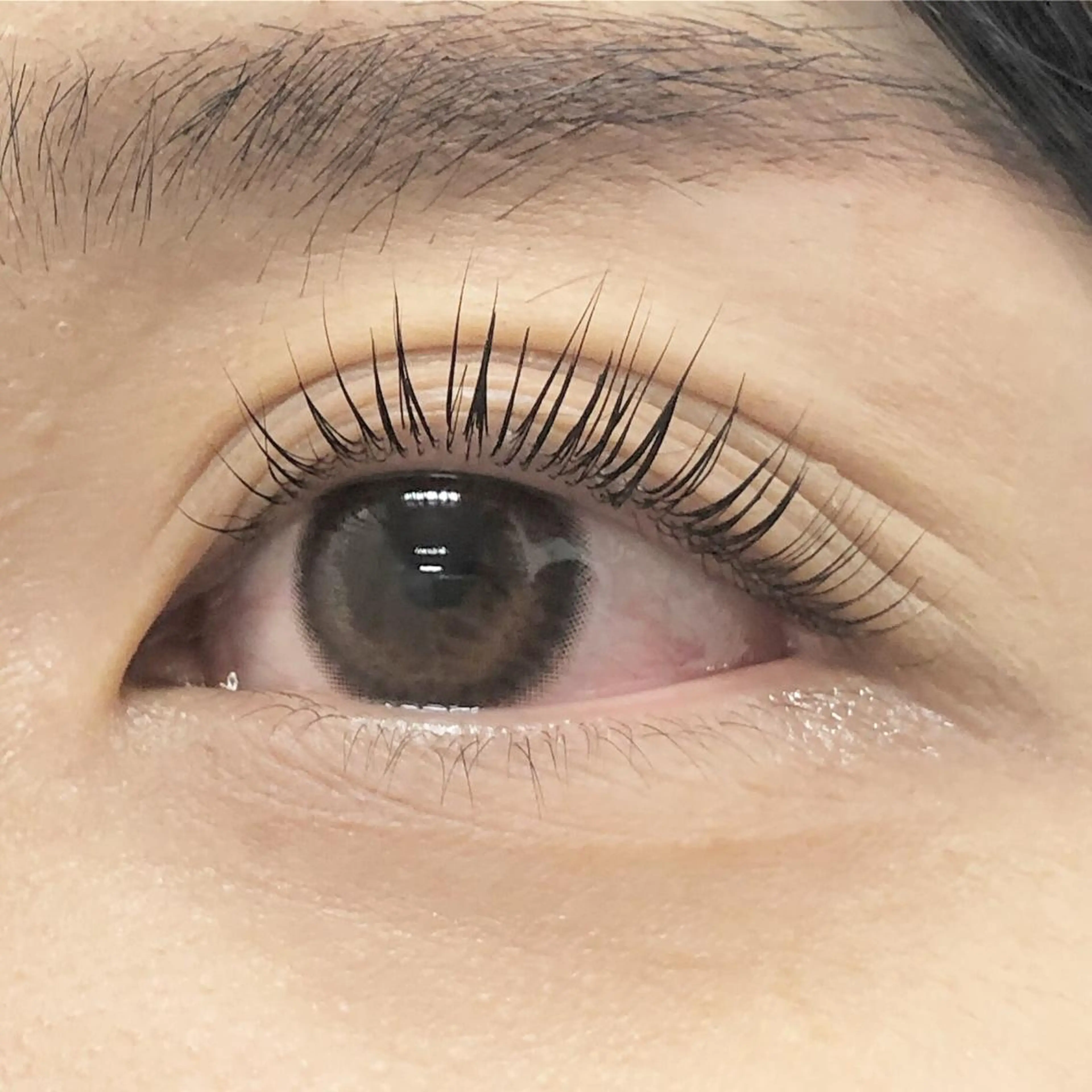 マツエク・マツパ Y.eyelash 赤羽/志茂のマツエク・マツパデザイン