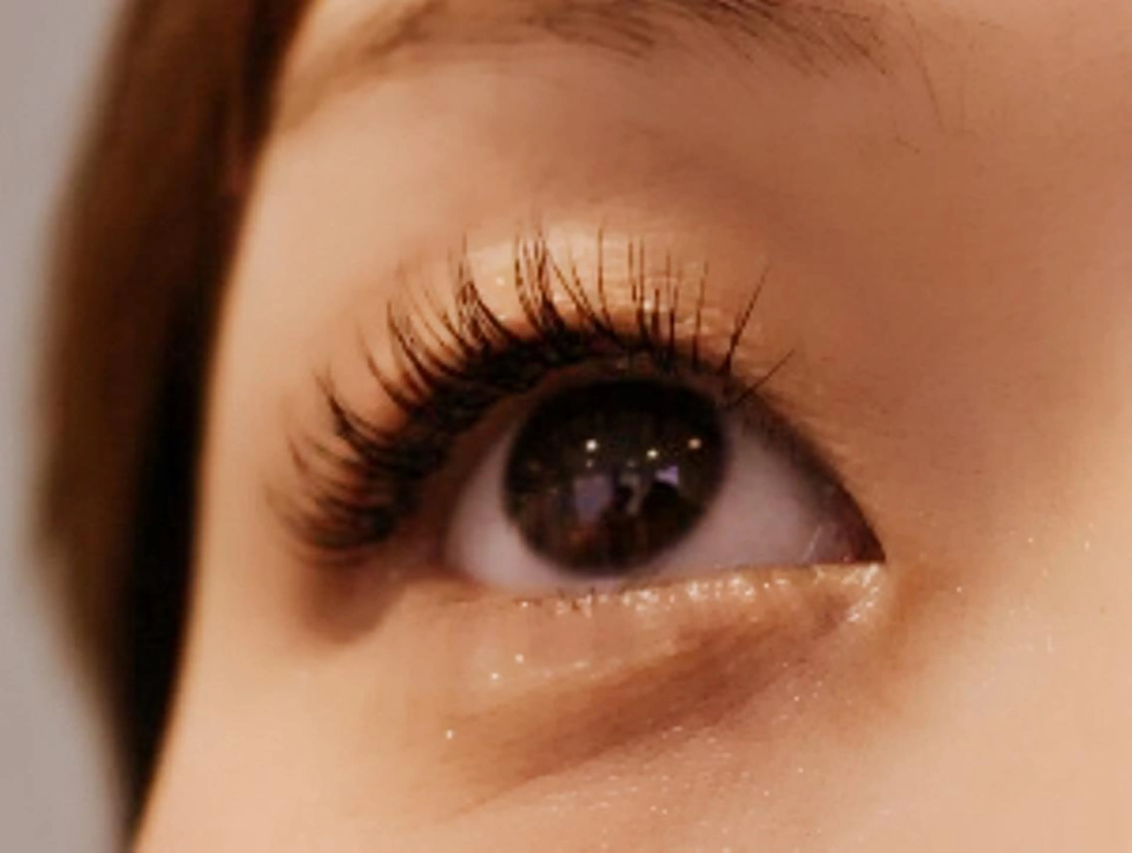 マツエク・マツパ CCカール Cカール セーブル petitchou eyelashのマツエク・マツパデザイン