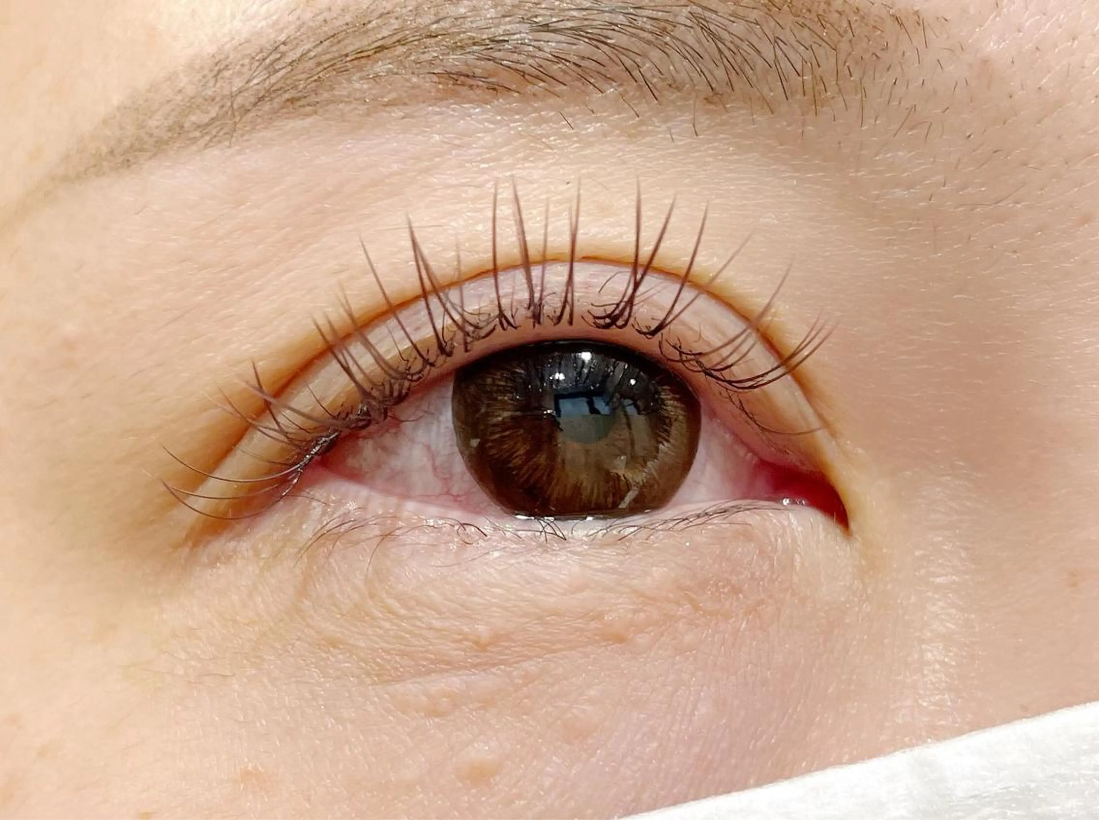 🤎大人可愛い🤎ブラウンフラットラッシュ100本5500円🌈オフ無料　すぐ予約のみの写真