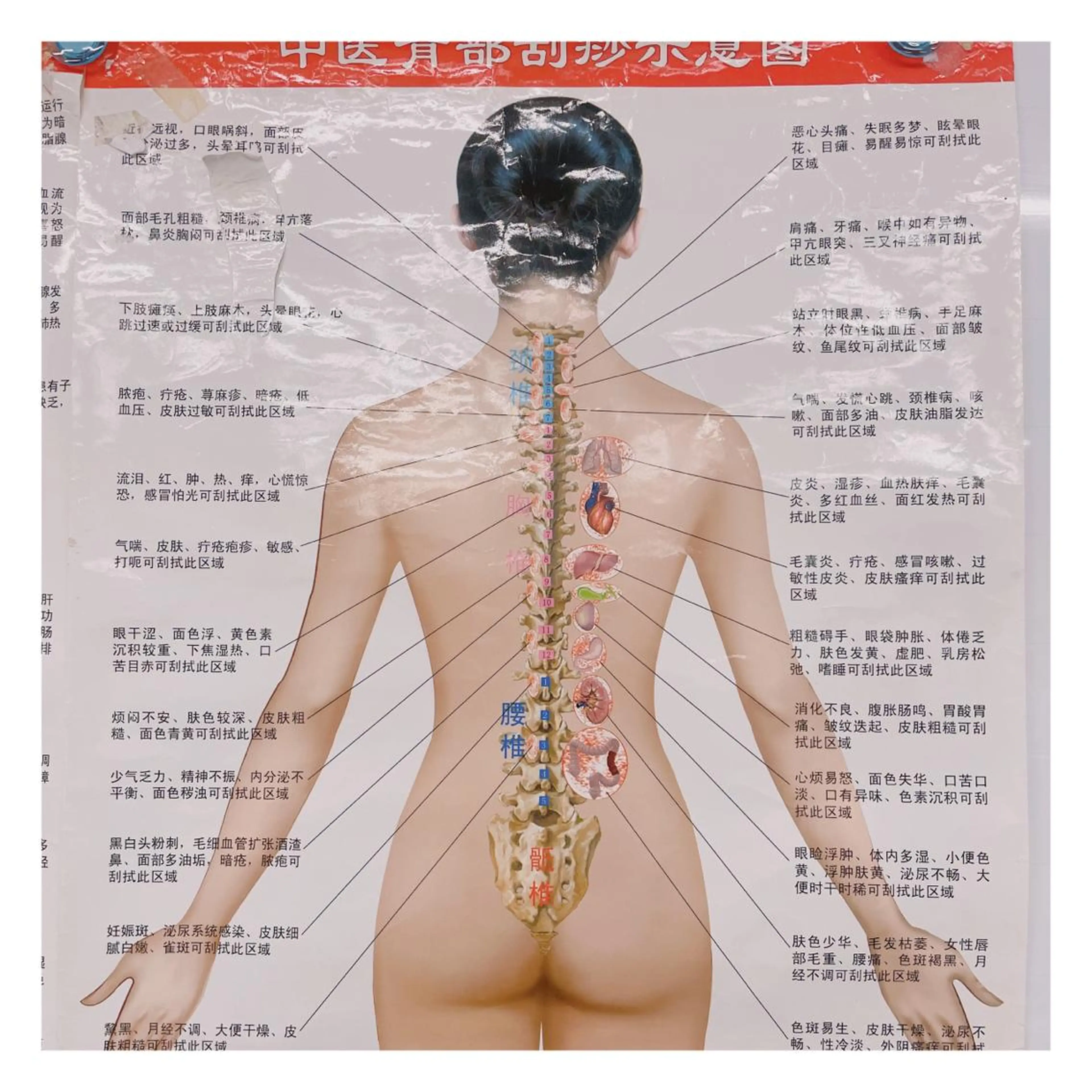 美腸専門 漢方よもぎ蒸しのエステ・リラクイメージ