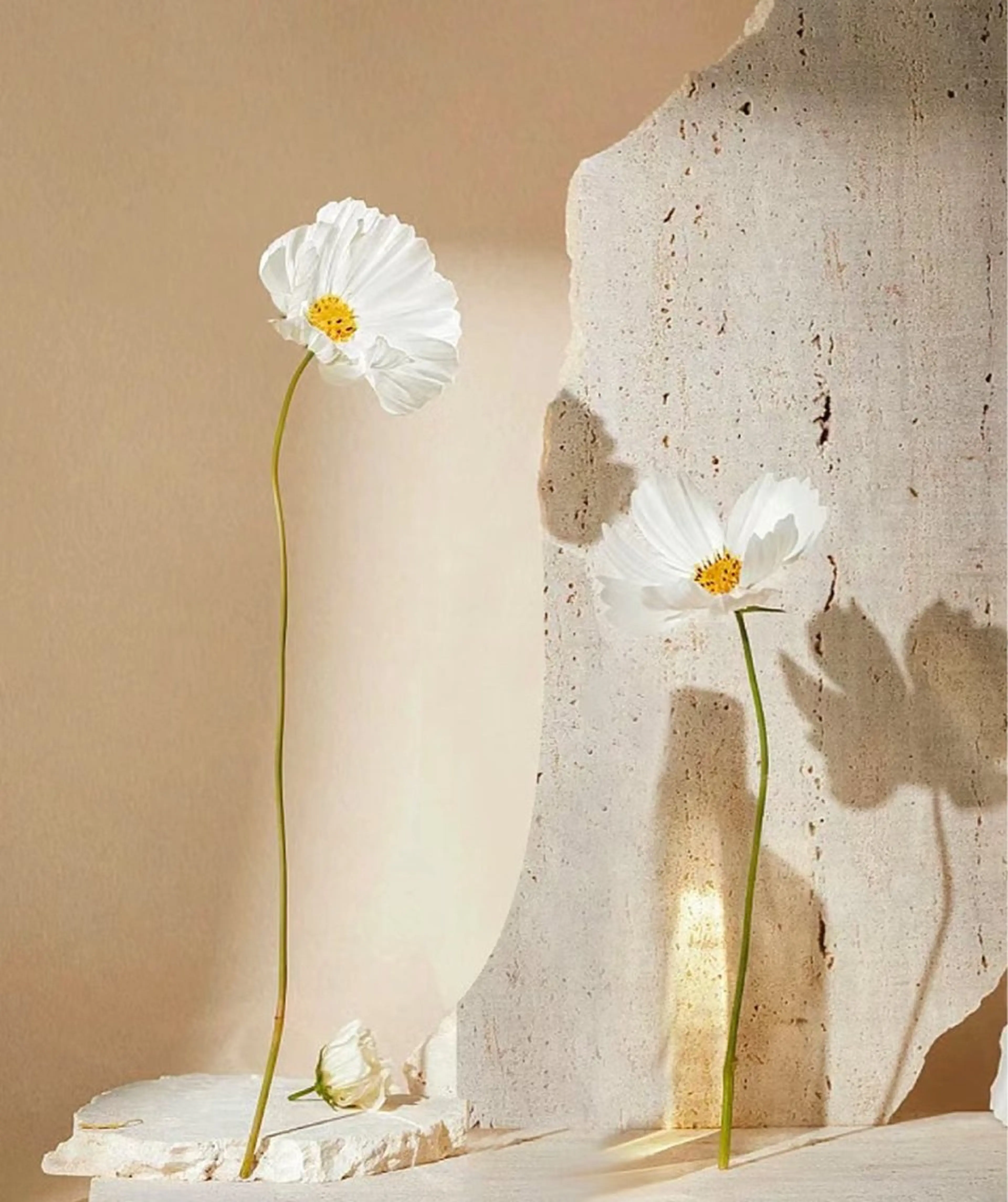 ネイル ハンドネイル Ai Nail所属・Ai Nailのネイルデザイン