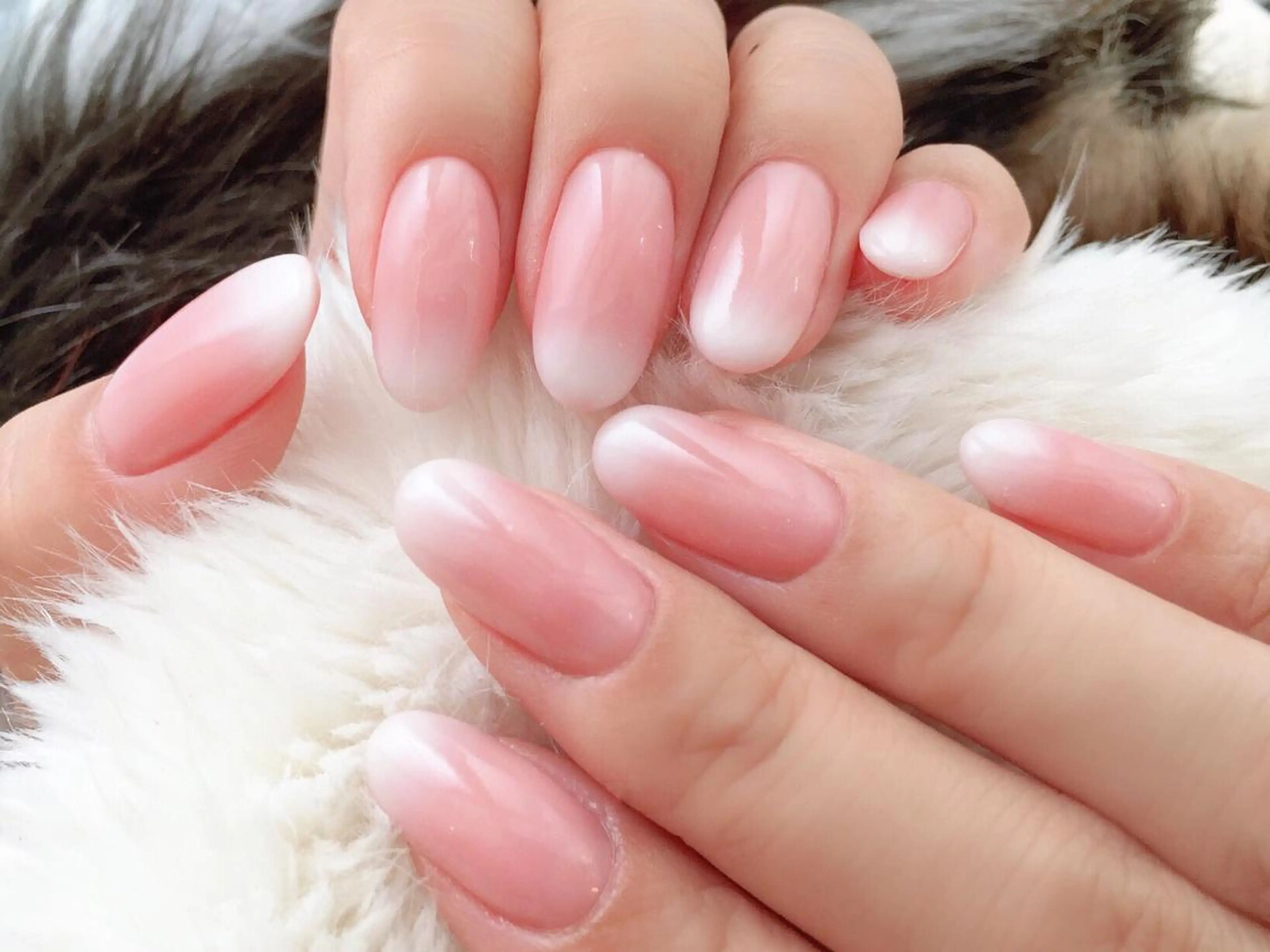 ネイル Viseo《6週間 長持ちパラジェル》のネイルデザイン