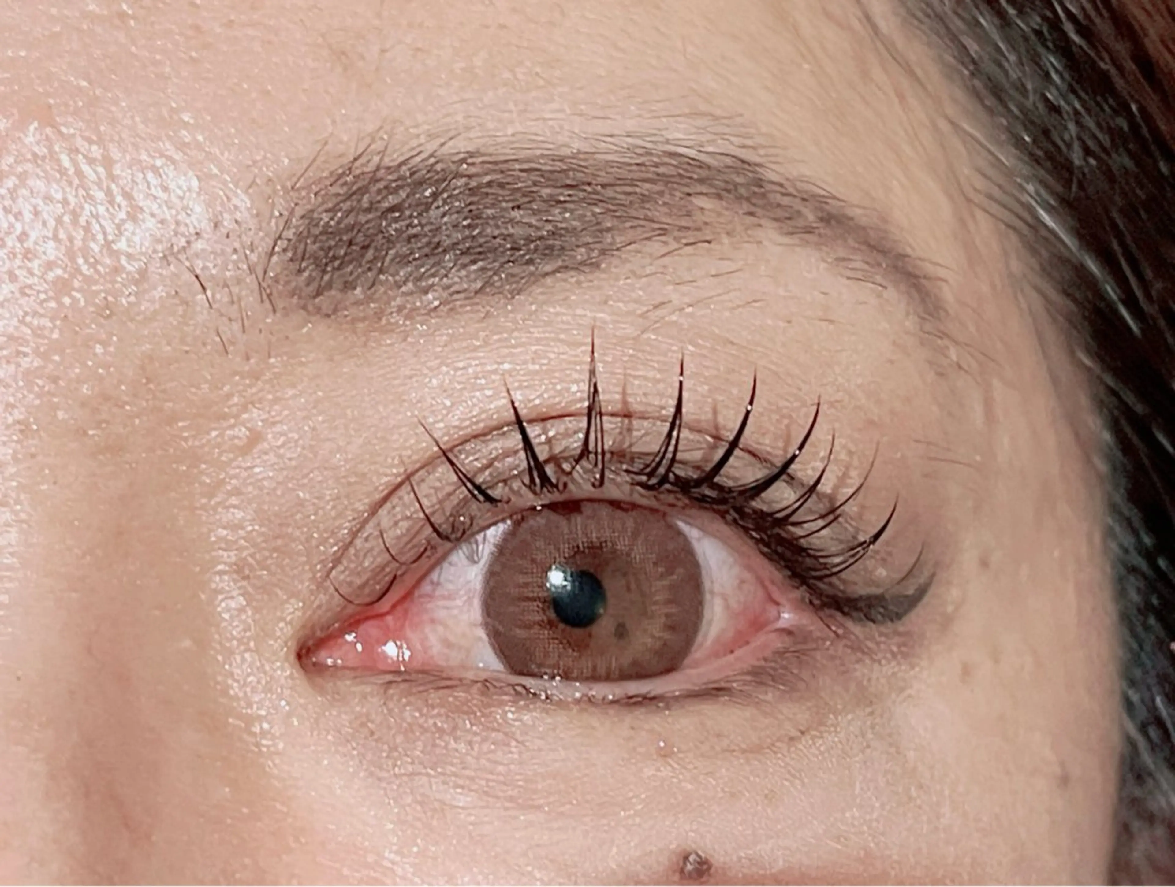 マツエク100本の写真