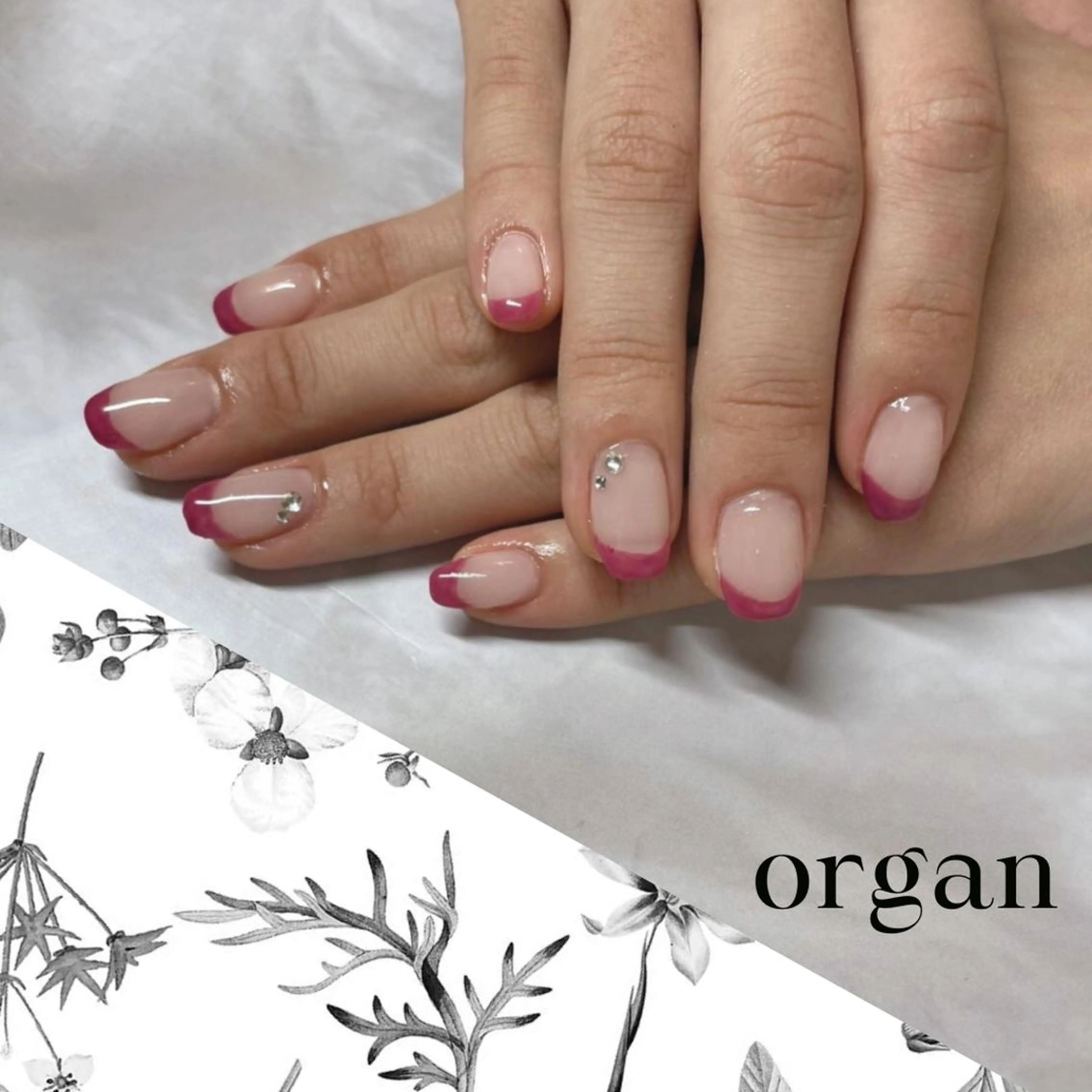 ネイル フレンチネイル 【ＯＲＧＡＮ】 nailのネイルデザイン