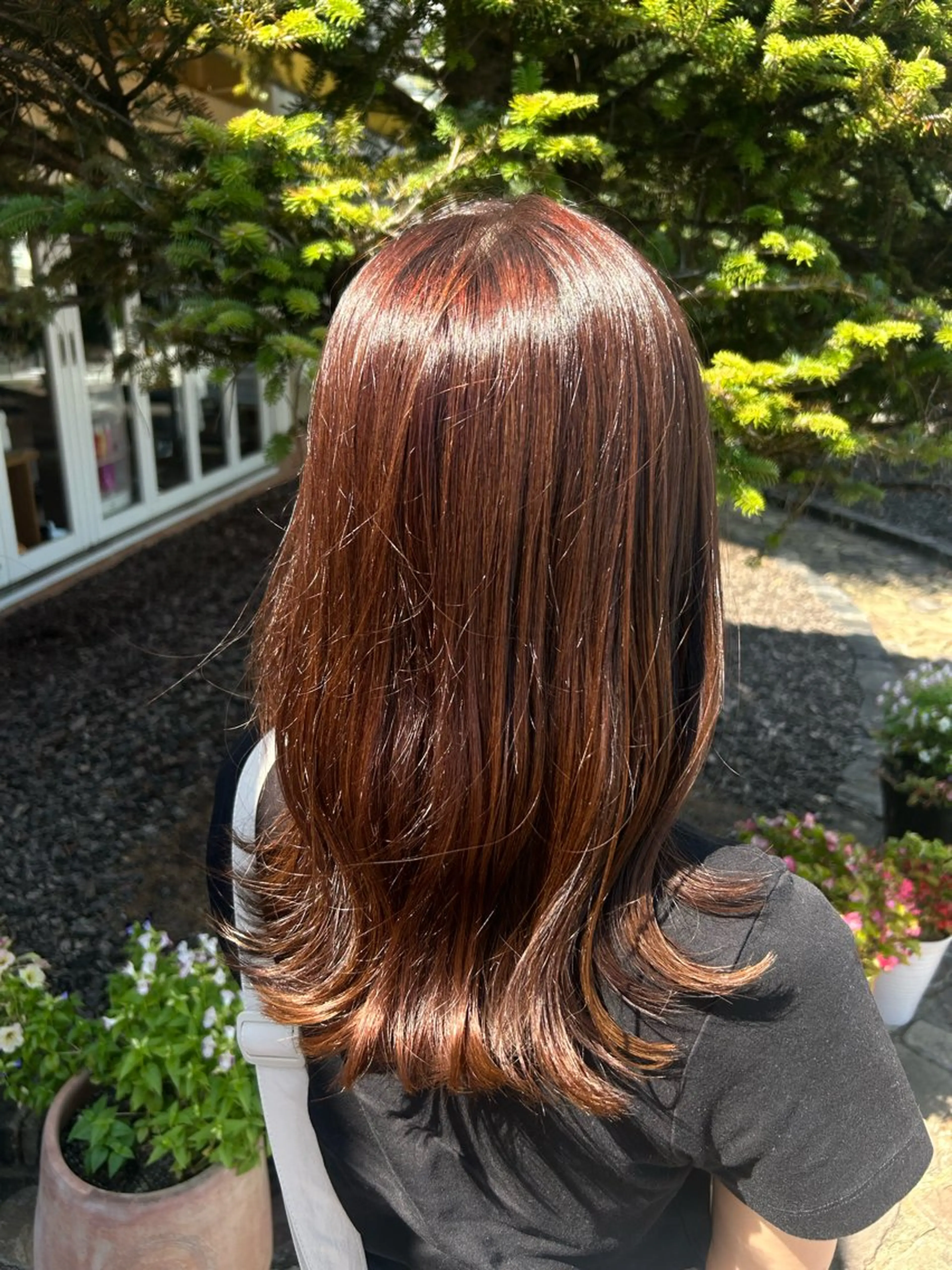 【 minimo限定🩶】ワンカラー🐕ブリーチなし🙅‍♀️の写真