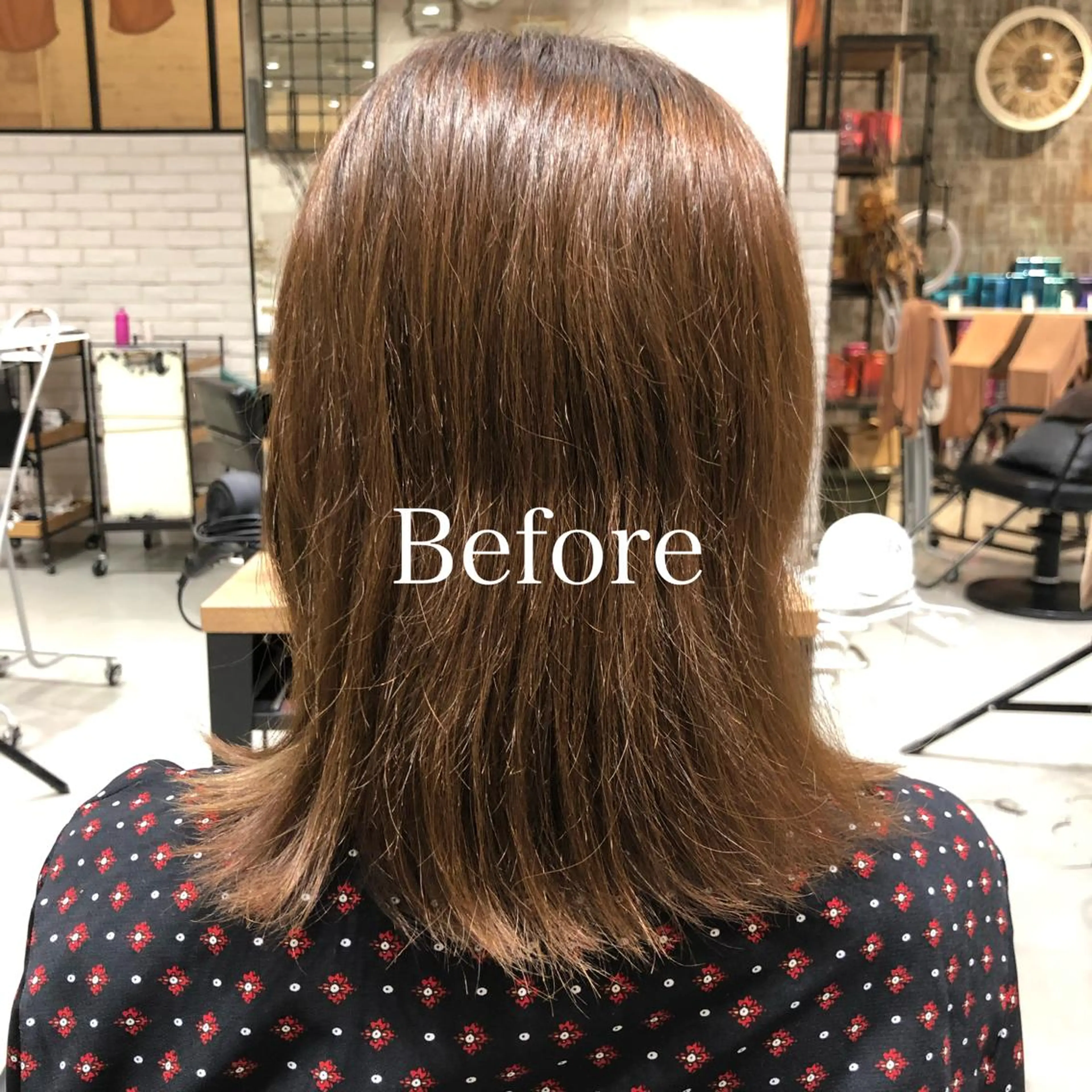 ミディアム カラー レディースヘア💫 加藤たいが🐯のヘアスタイル