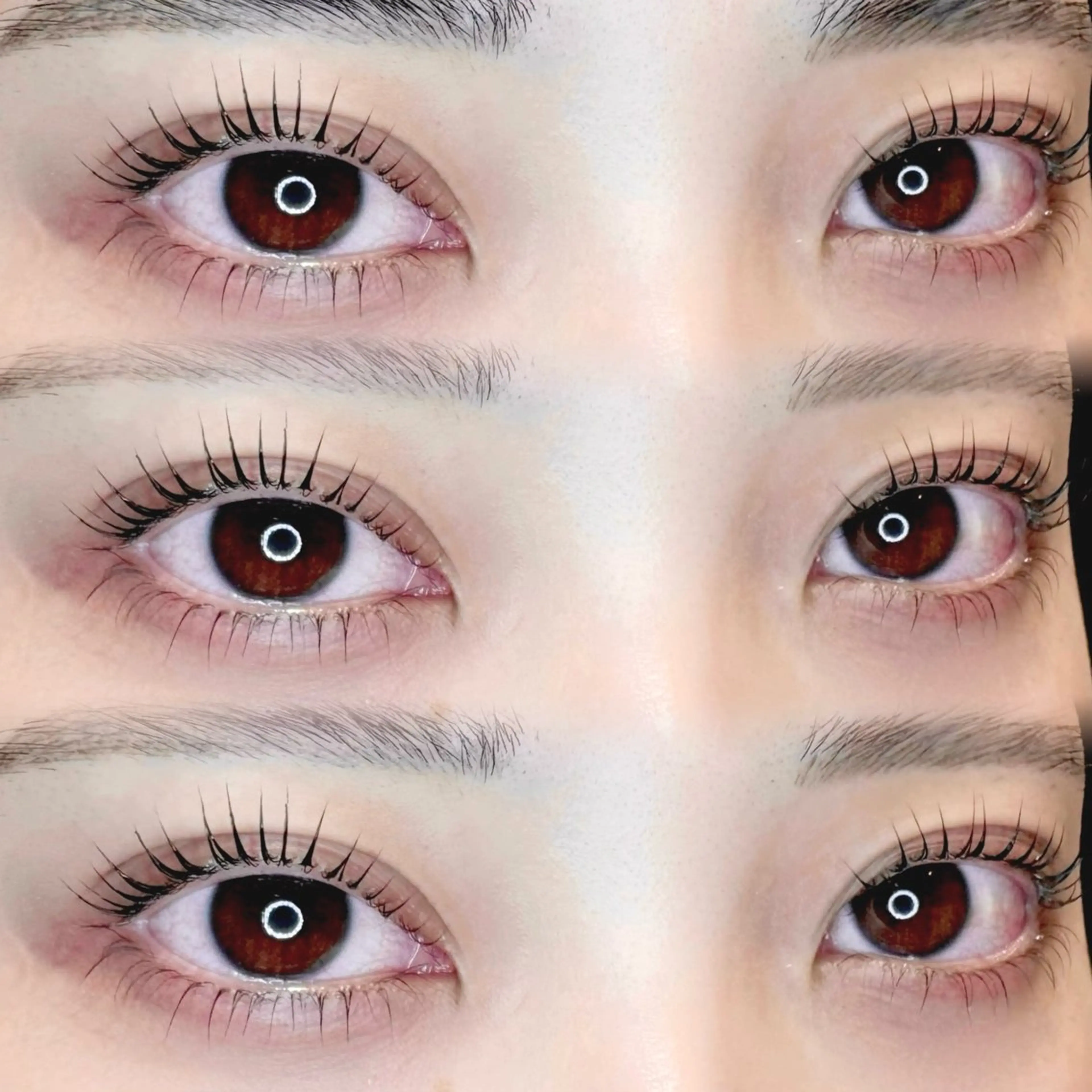 🎀上下まつ毛パーマorパリジェンヌ🎀の写真