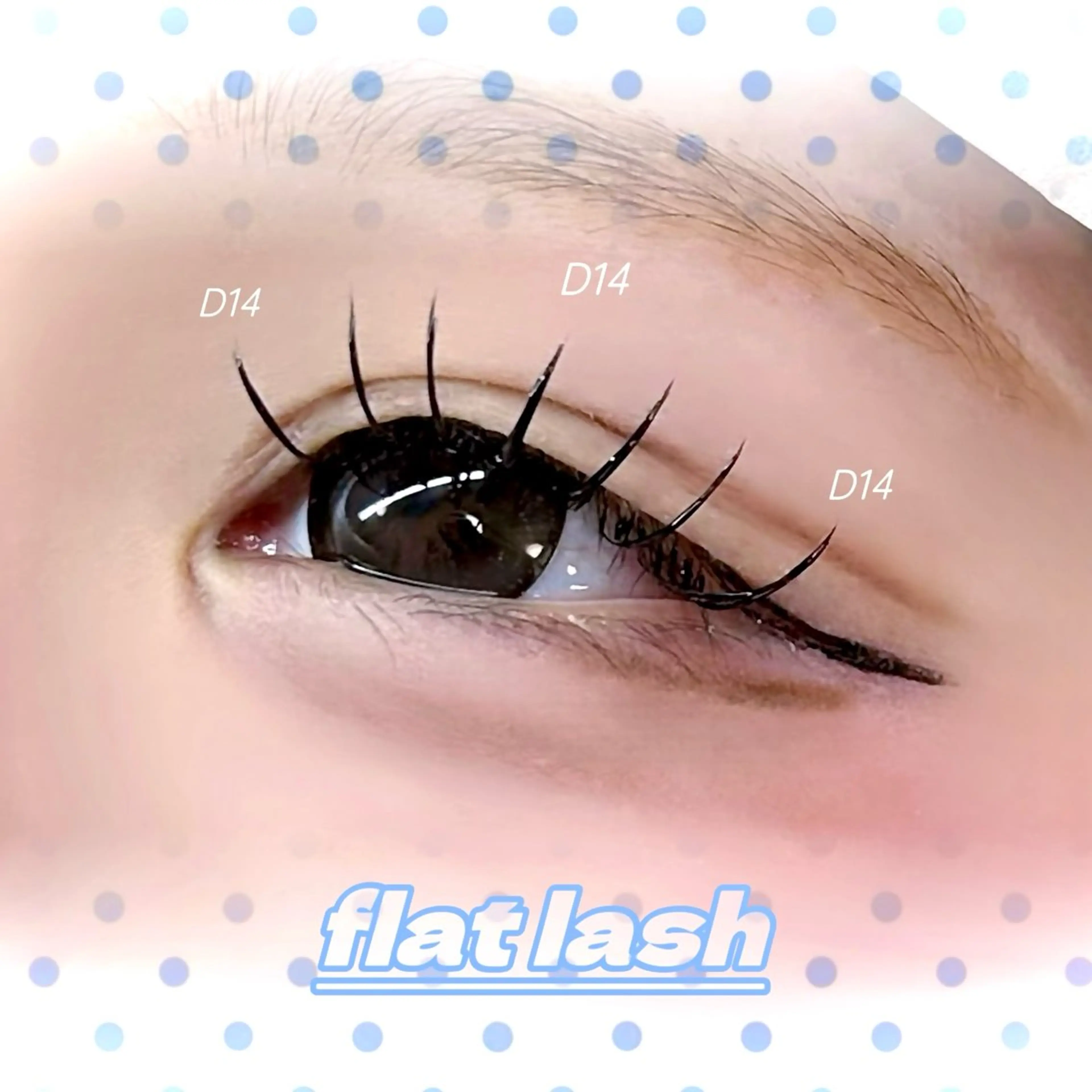 ★ フラットラッシュ 100本 ★ オフなし                   《 ご新規様限定 》の写真