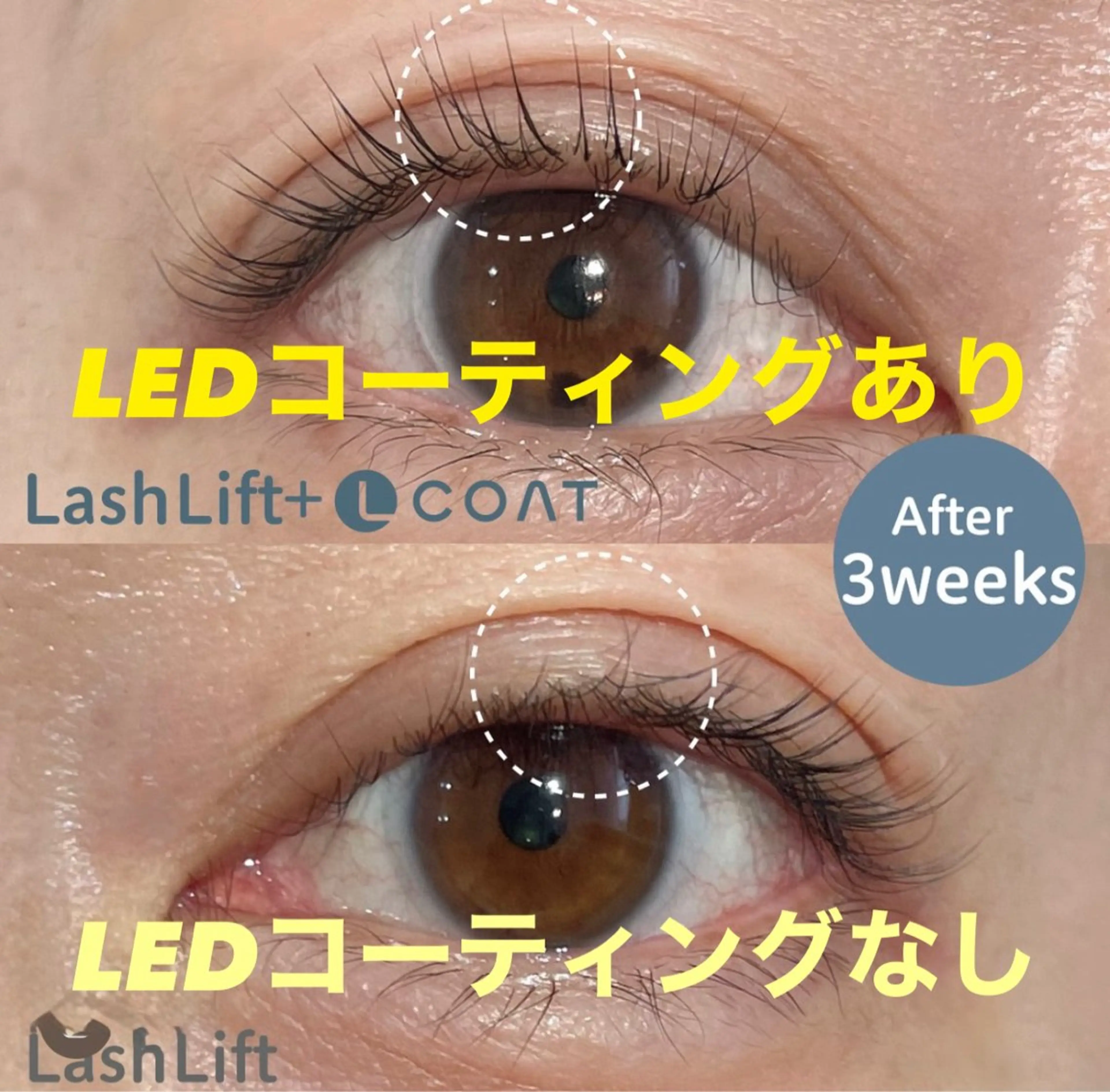 マツエク・マツパ L.eyelash&Beauty所属・エル アイラッシュのマツエク・マツパデザイン