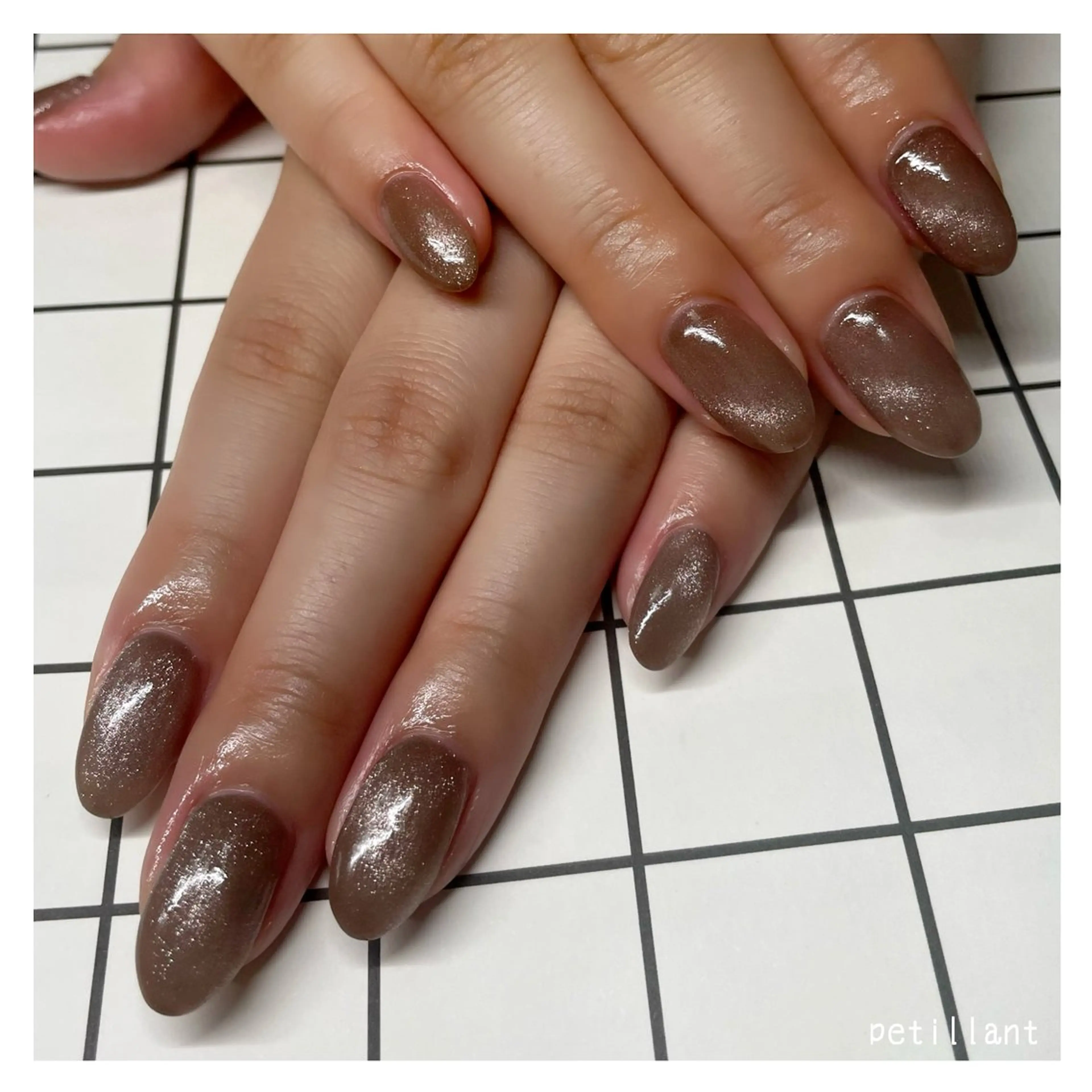 ネイル アートネイル ブラウン マグネットネイル ワンカラーネイル petillant所属・nail salon petillantのネイルデザイン