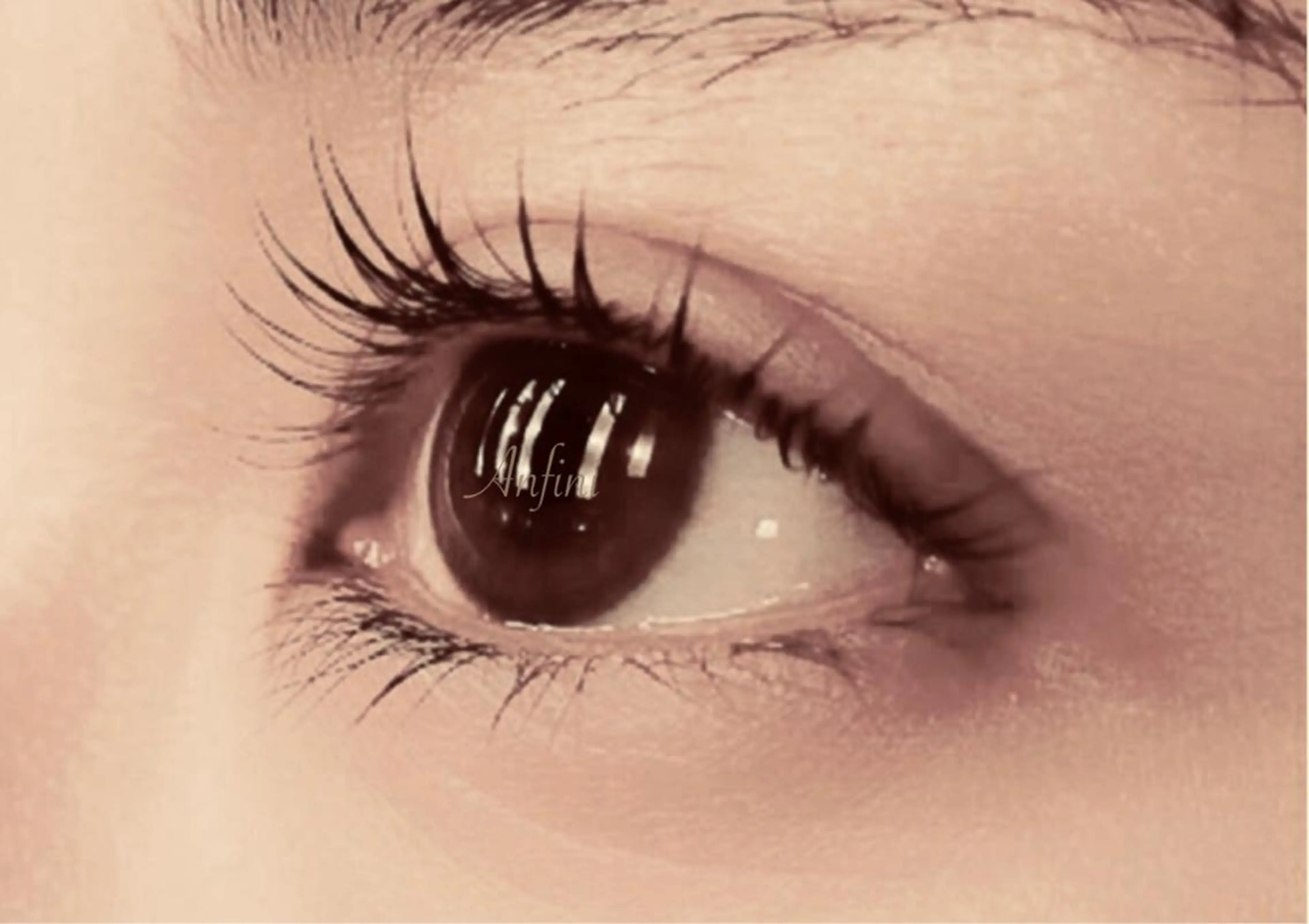 マツエク・マツパ Anfini アンフィニのマツエク・マツパデザイン