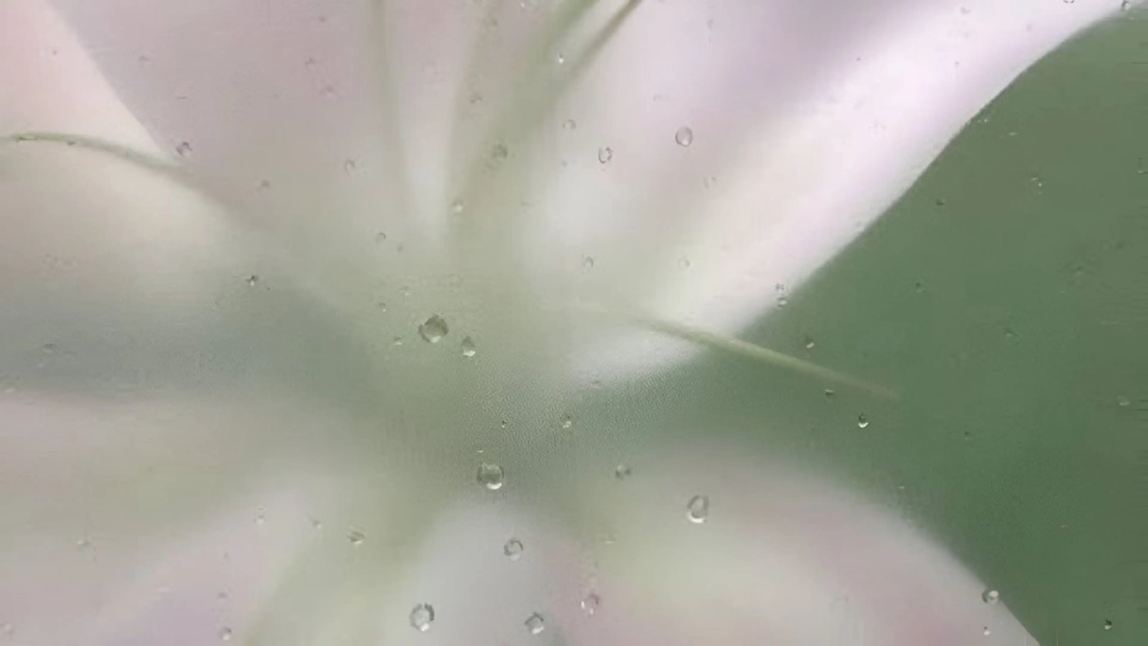 オト/レイヤー/ Wカラー/メンズのヘアスタイル