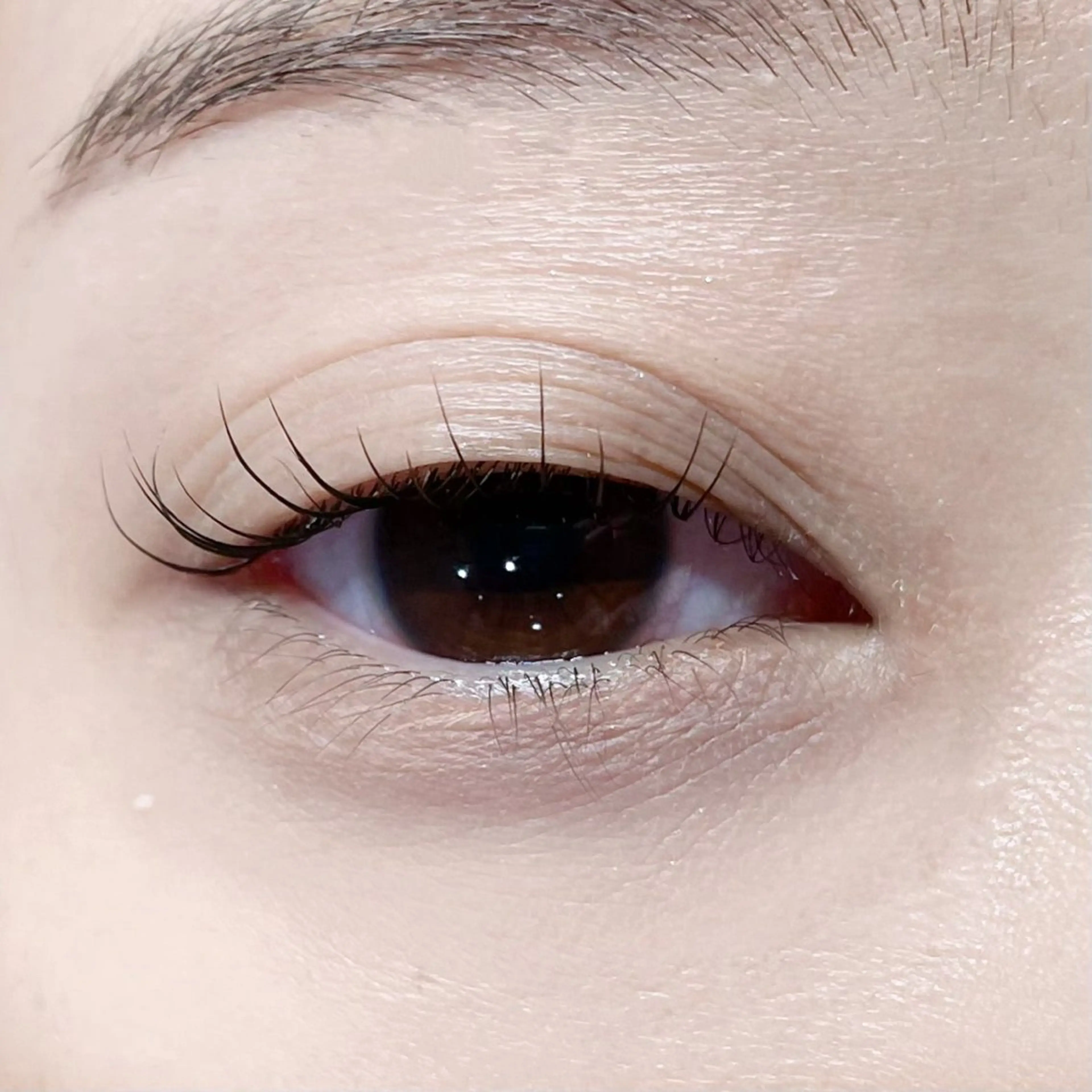 マツエク・マツパ マツパ 櫻井 怜華のマツエク・マツパデザイン