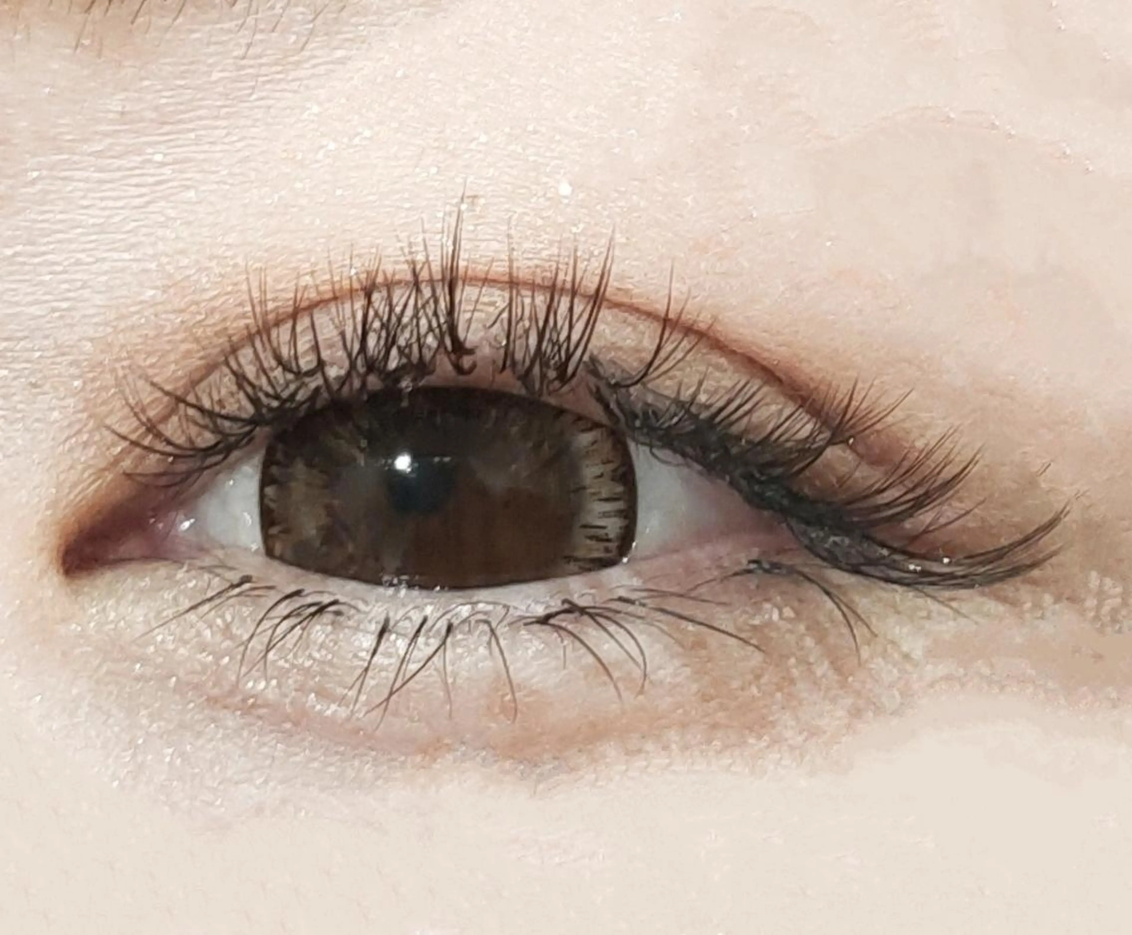 バインドロック80束/240本〜以上◆¥9900→¥7700の写真