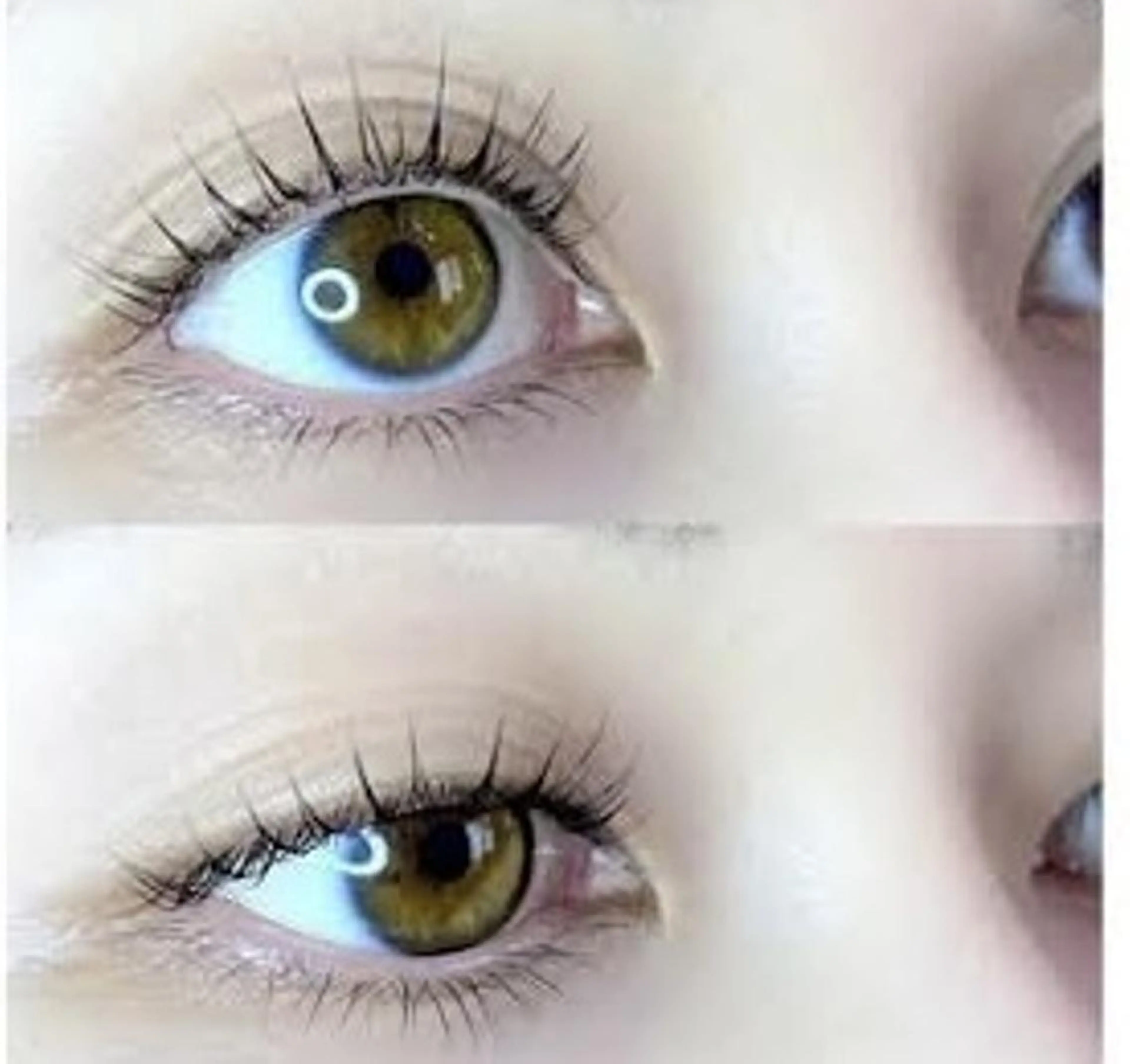 👩🏻‍🎓学生限定💗 ̖́-‬似合わせ まつげパーマ（ナチュラル/韓国風/束間)−100円オフok🙆の写真