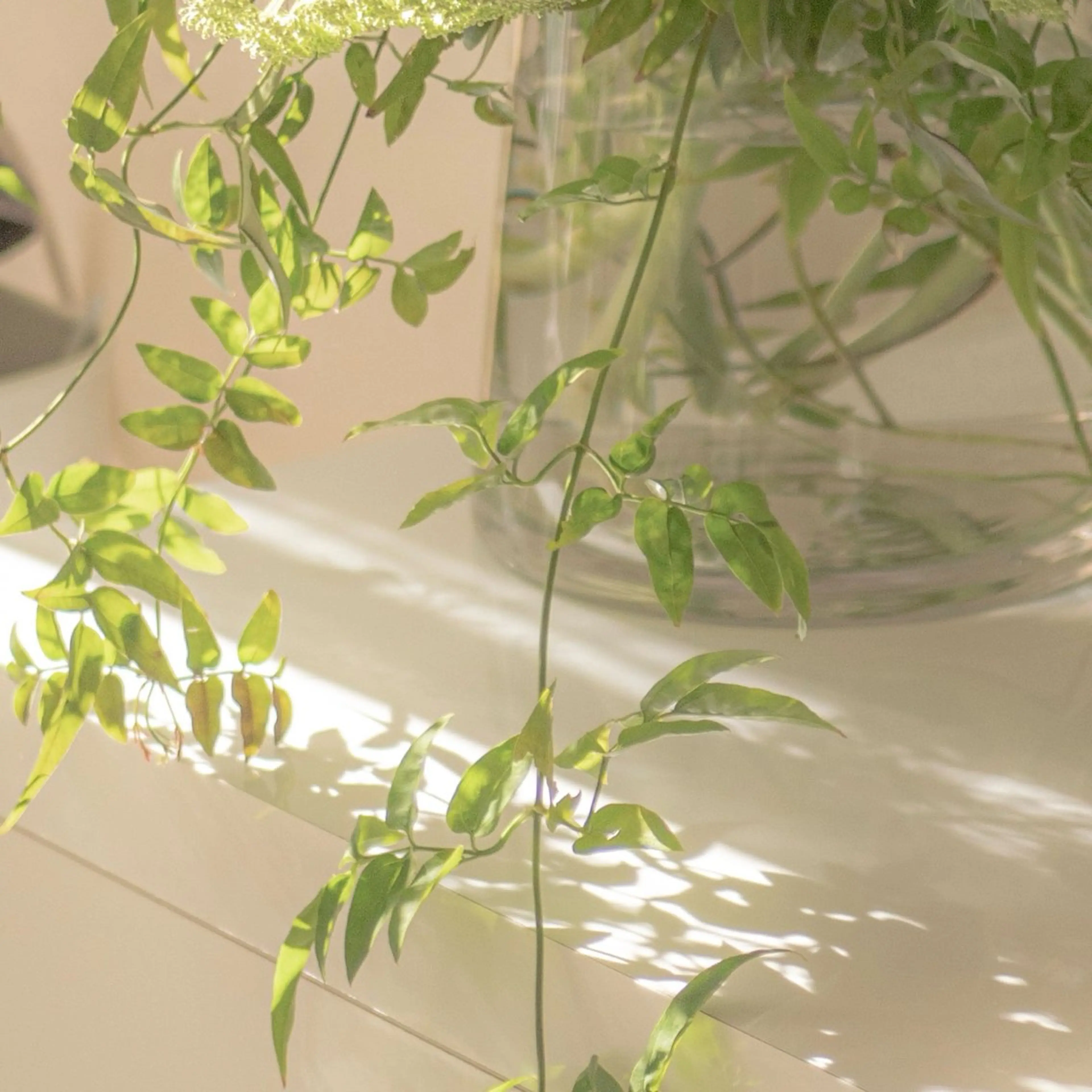 LA CLARTE所属・LA CLARTEのエステ・リラクイメージ